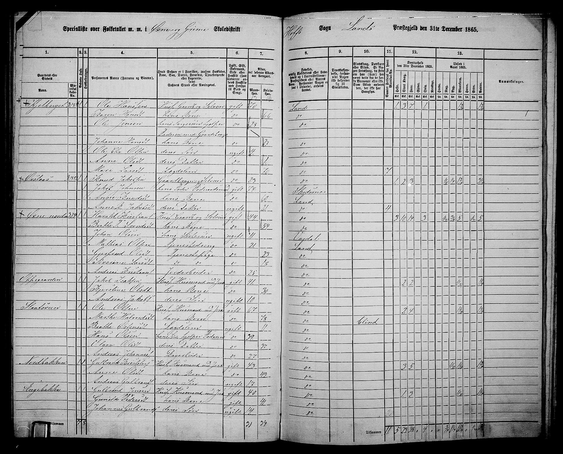 RA, 1865 census for Land, 1865, p. 376