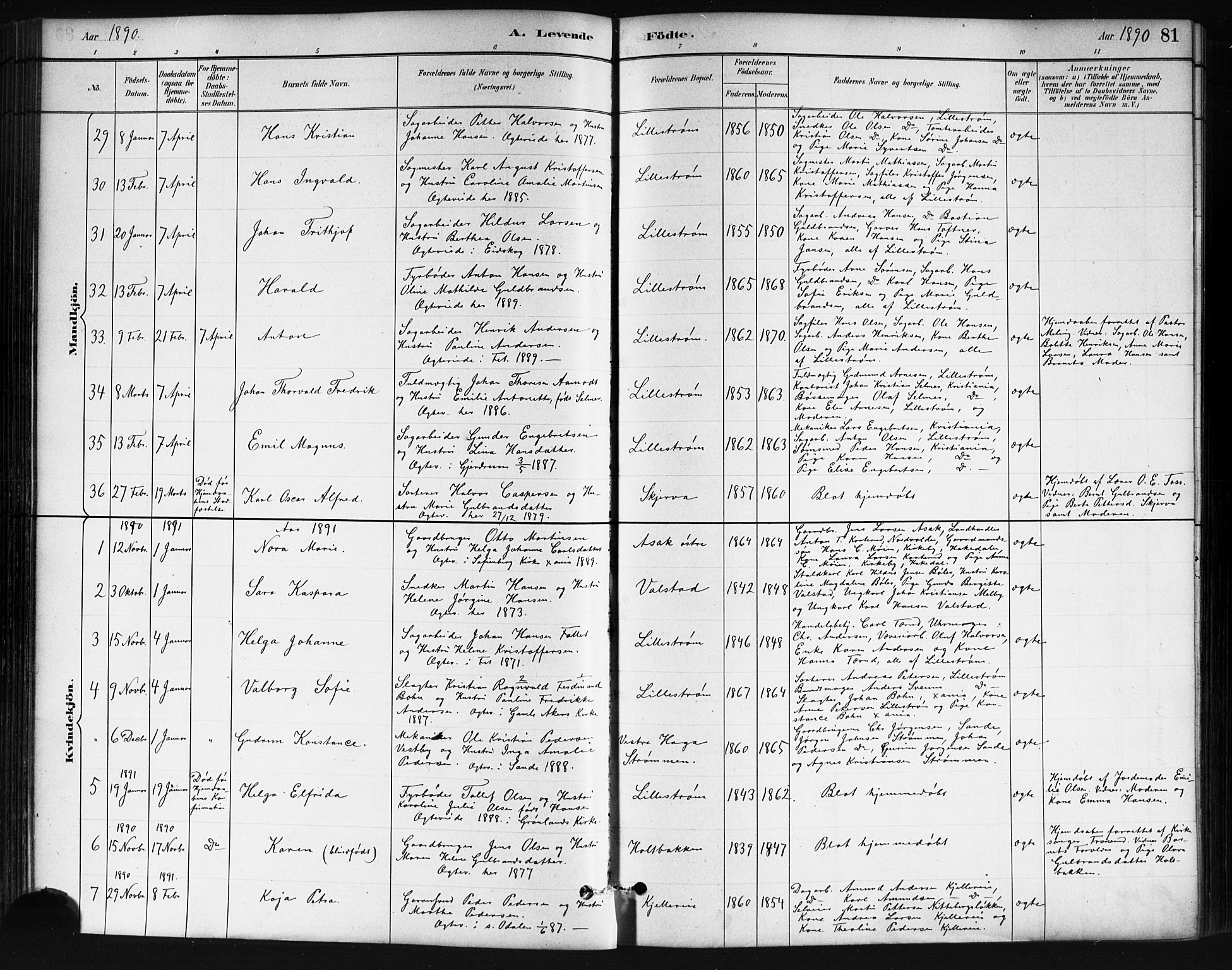 Skedsmo prestekontor Kirkebøker, SAO/A-10033a/G/Ga/L0004: Parish register (copy) no. I 4, 1883-1895, p. 81