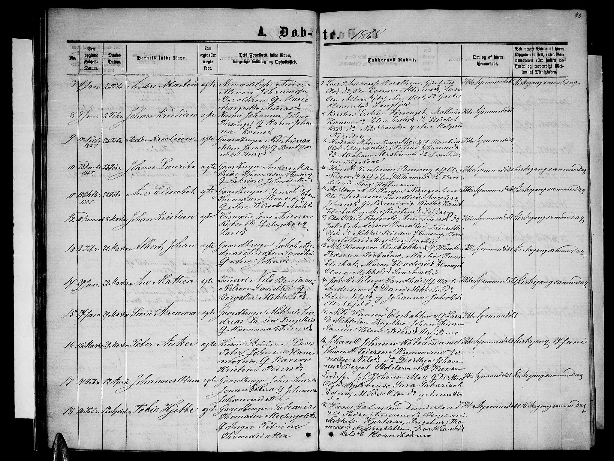 Ministerialprotokoller, klokkerbøker og fødselsregistre - Nordland, SAT/A-1459/827/L0415: Parish register (copy) no. 827C04, 1864-1886, p. 43