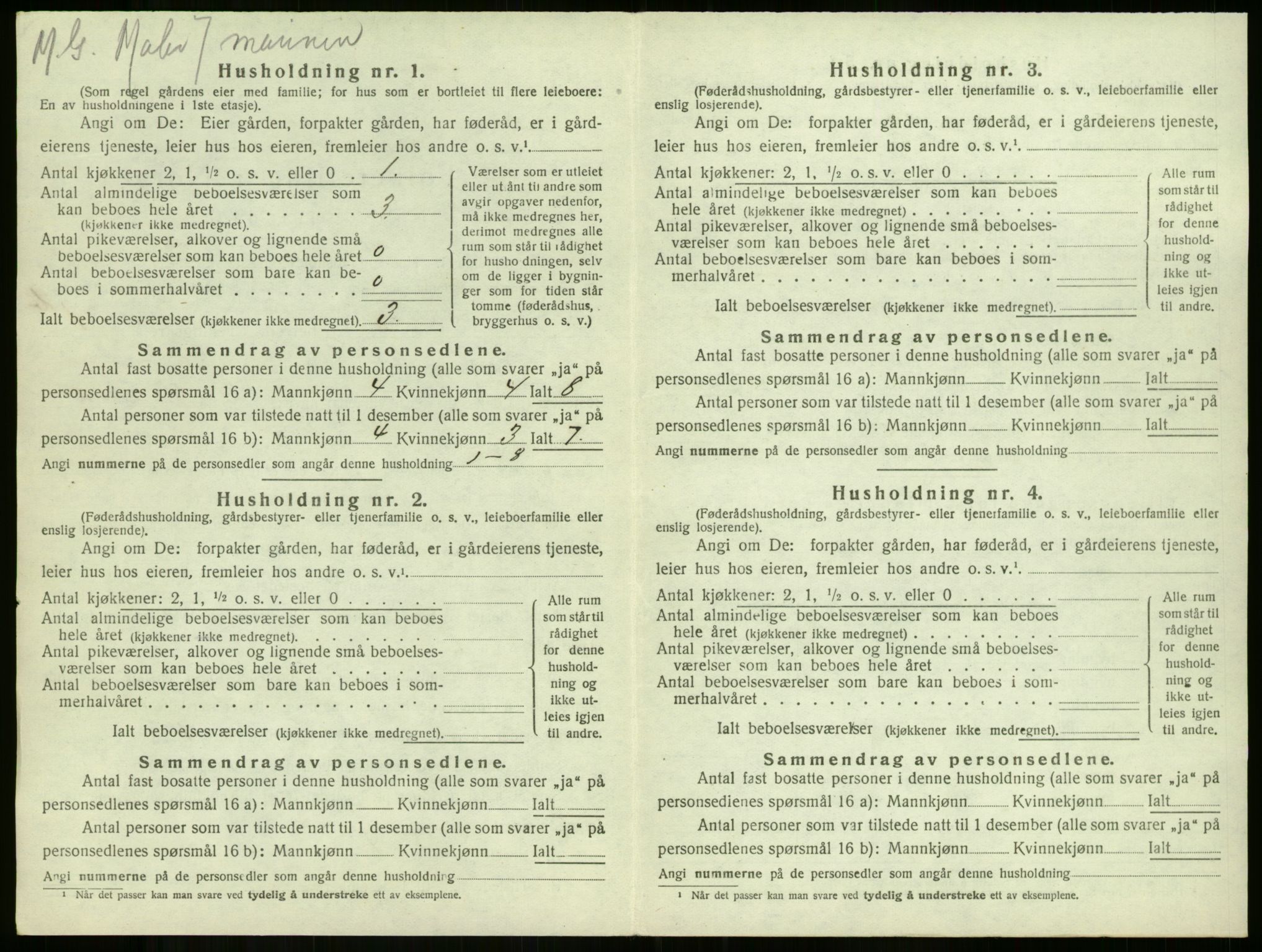 SAKO, 1920 census for Borre, 1920, p. 166