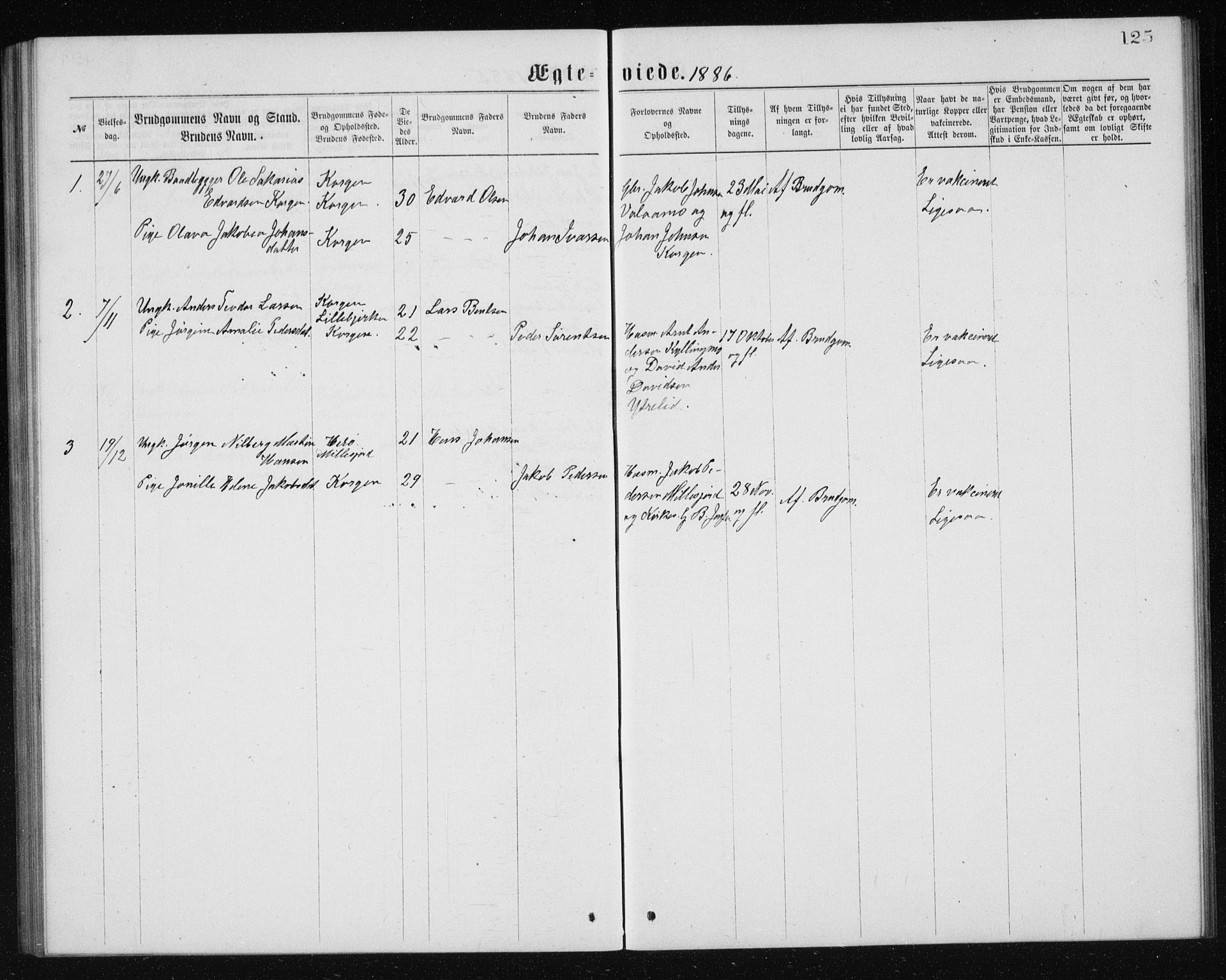 Ministerialprotokoller, klokkerbøker og fødselsregistre - Nordland, AV/SAT-A-1459/826/L0381: Parish register (copy) no. 826C01, 1877-1886, p. 125