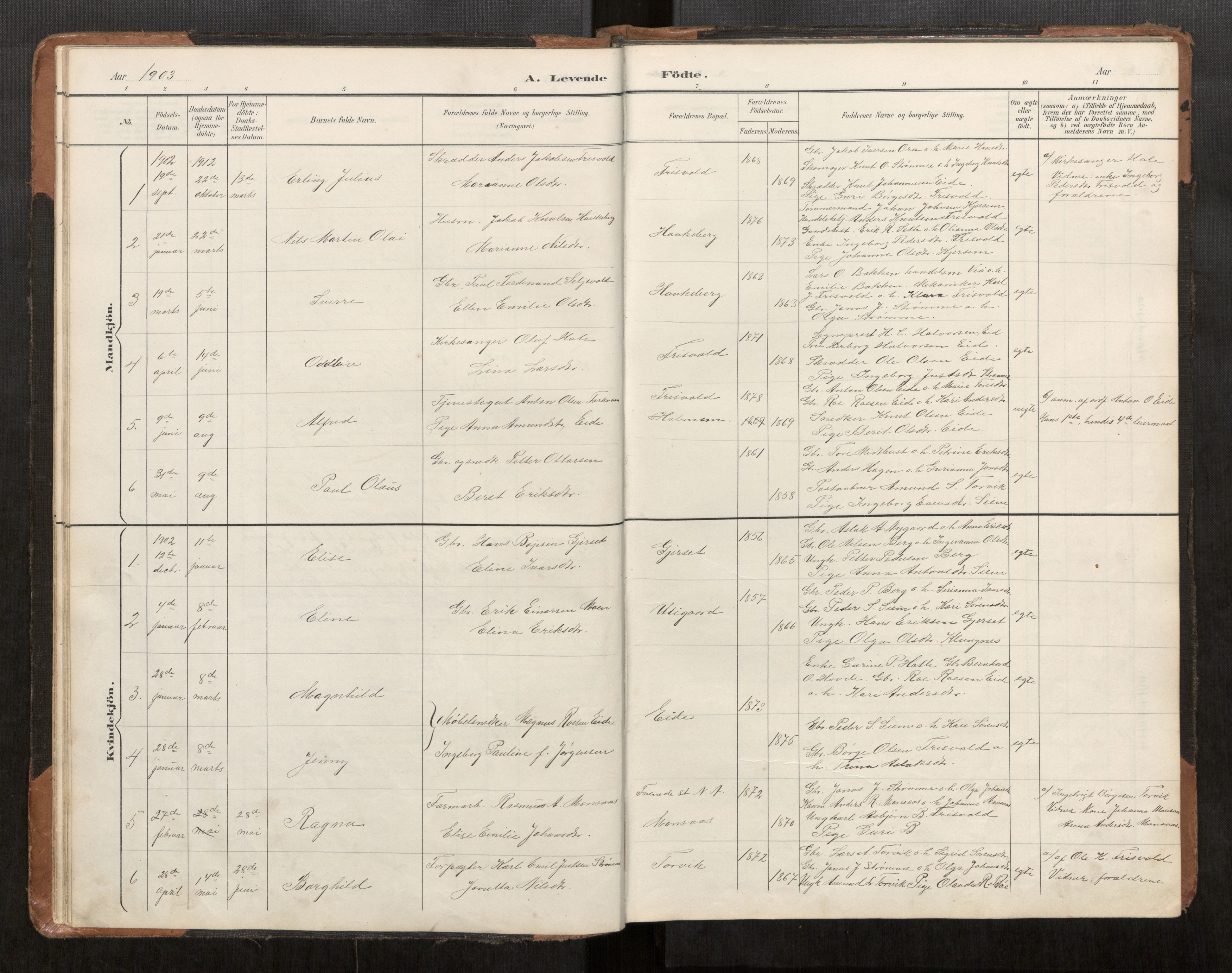 Ministerialprotokoller, klokkerbøker og fødselsregistre - Møre og Romsdal, AV/SAT-A-1454/542/L0561: Parish register (copy) no. 542C03, 1893-1931