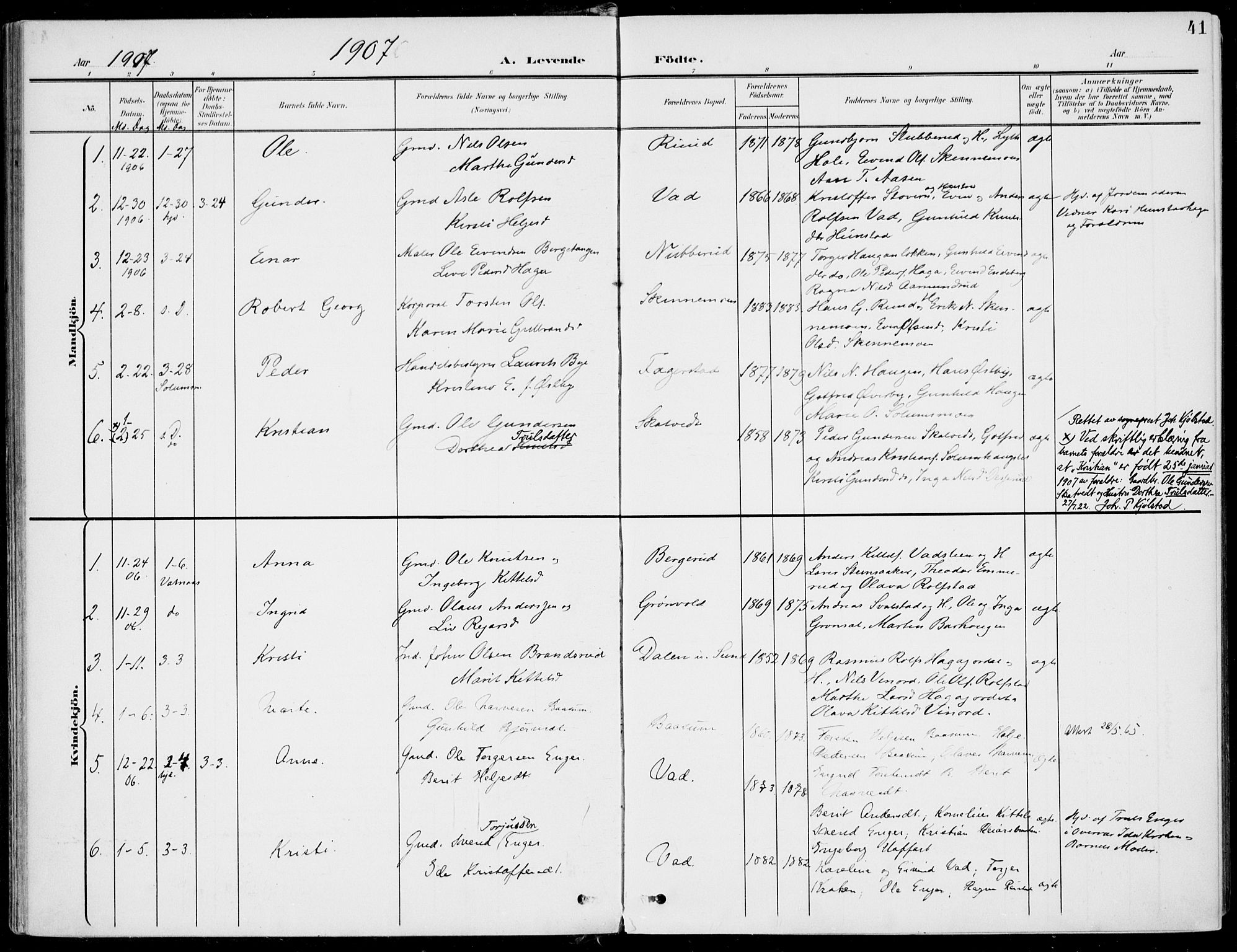 Sigdal kirkebøker, SAKO/A-245/F/Fb/L0002: Parish register (official) no. II 2, 1901-1914, p. 41
