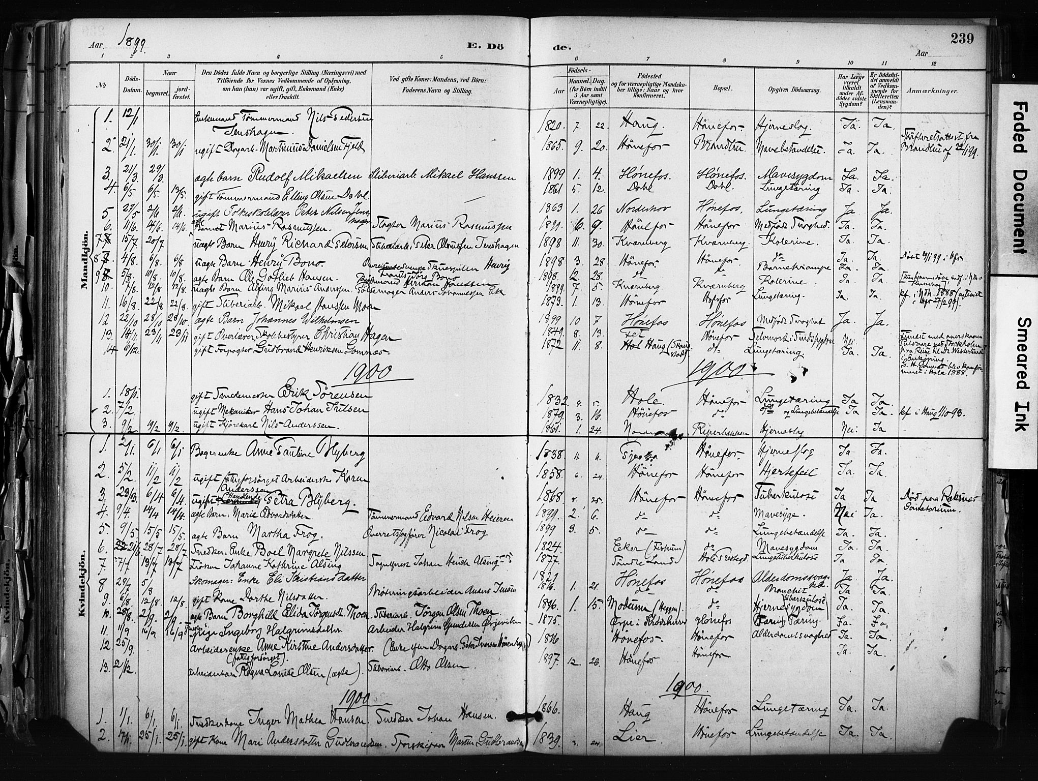 Hønefoss kirkebøker, AV/SAKO-A-609/F/Fa/L0002: Parish register (official) no. 2, 1887-1906, p. 239