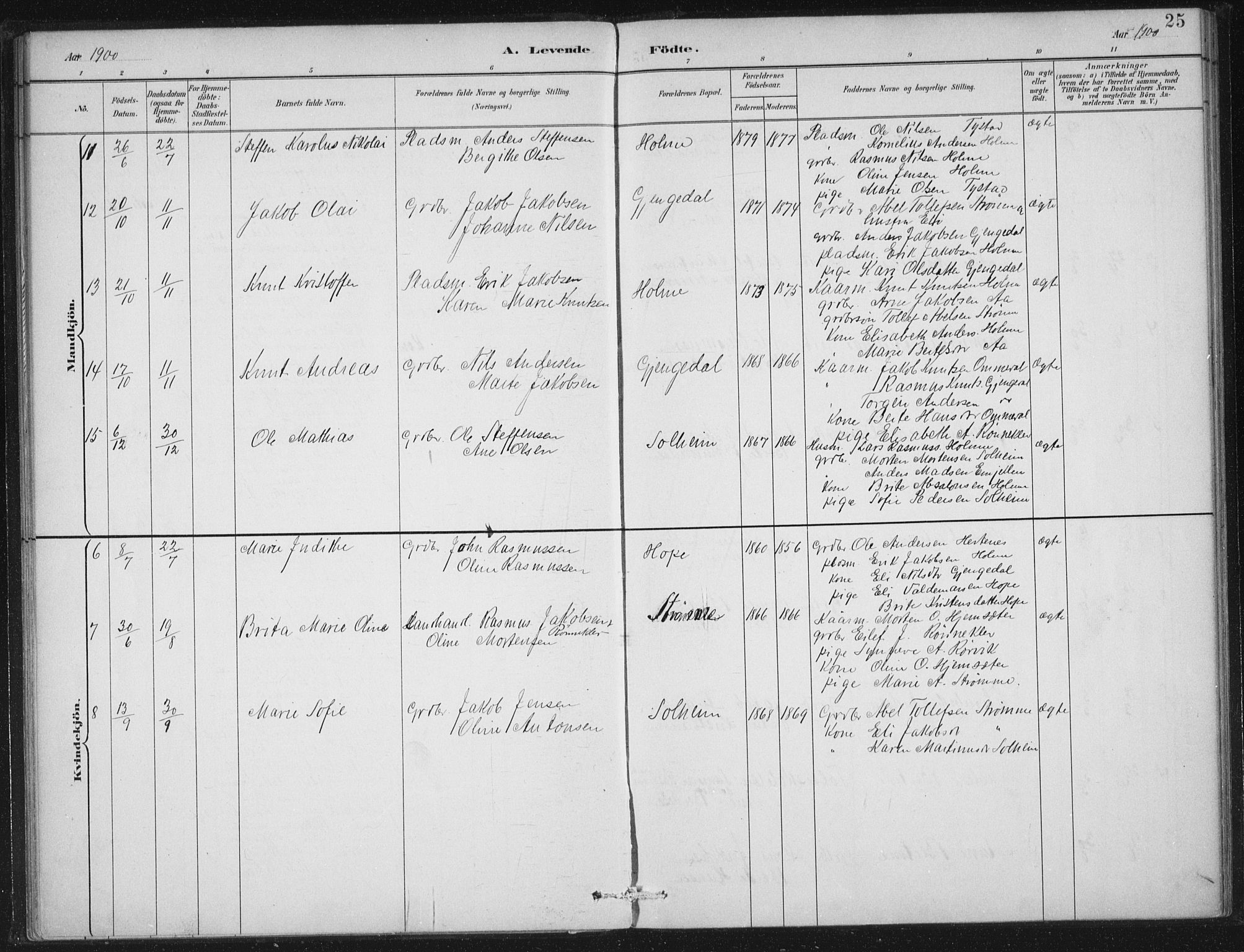 Gloppen sokneprestembete, SAB/A-80101/H/Haa/Haae/L0001: Parish register (official) no. E  1, 1885-1904, p. 25