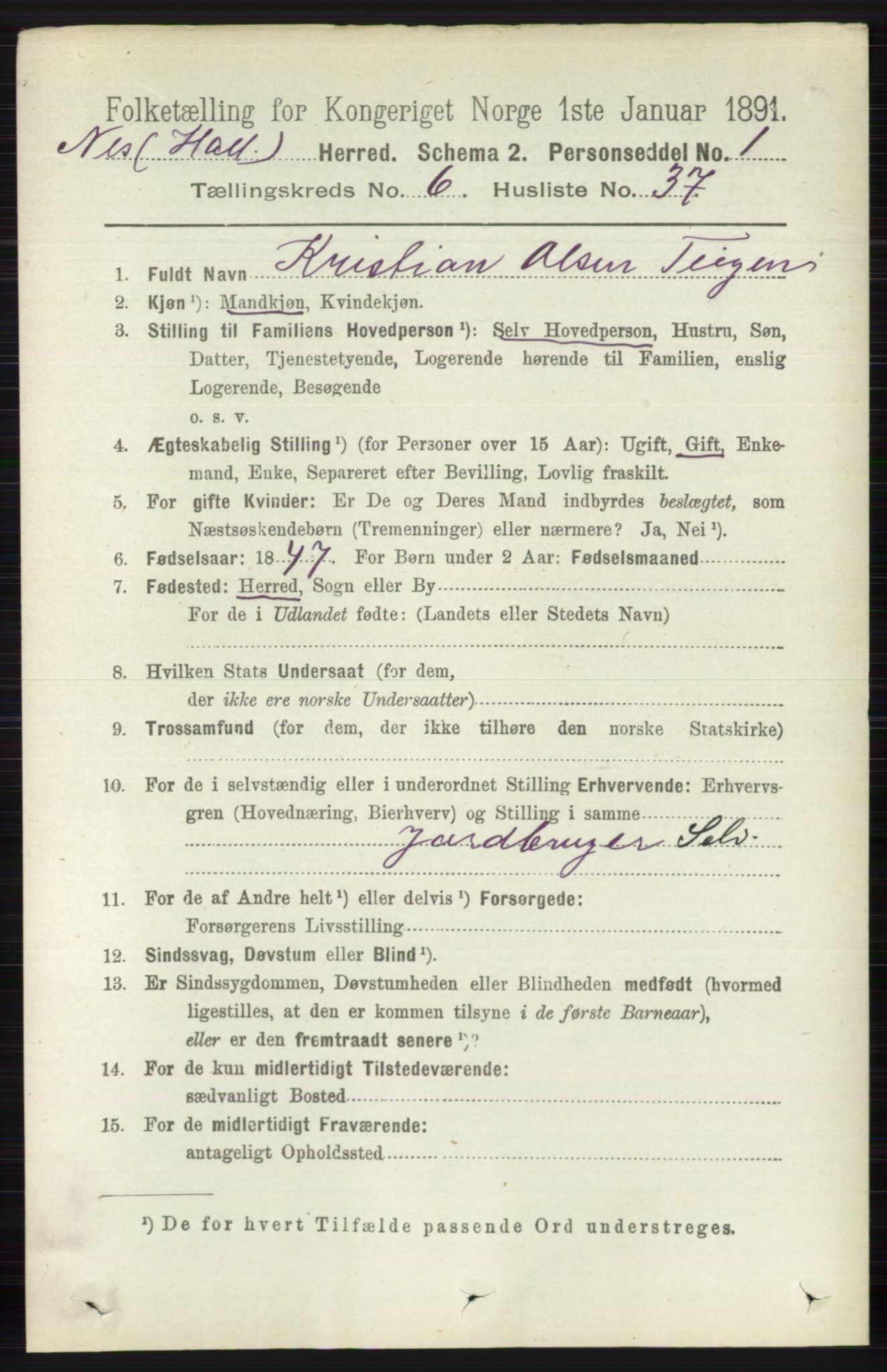 RA, 1891 census for 0616 Nes, 1891, p. 3244