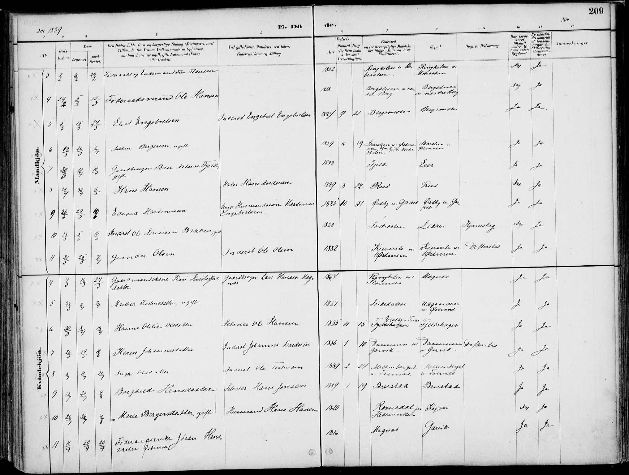 Nord-Odal prestekontor, SAH/PREST-032/H/Ha/Haa/L0008: Parish register (official) no. 8, 1886-1901, p. 209