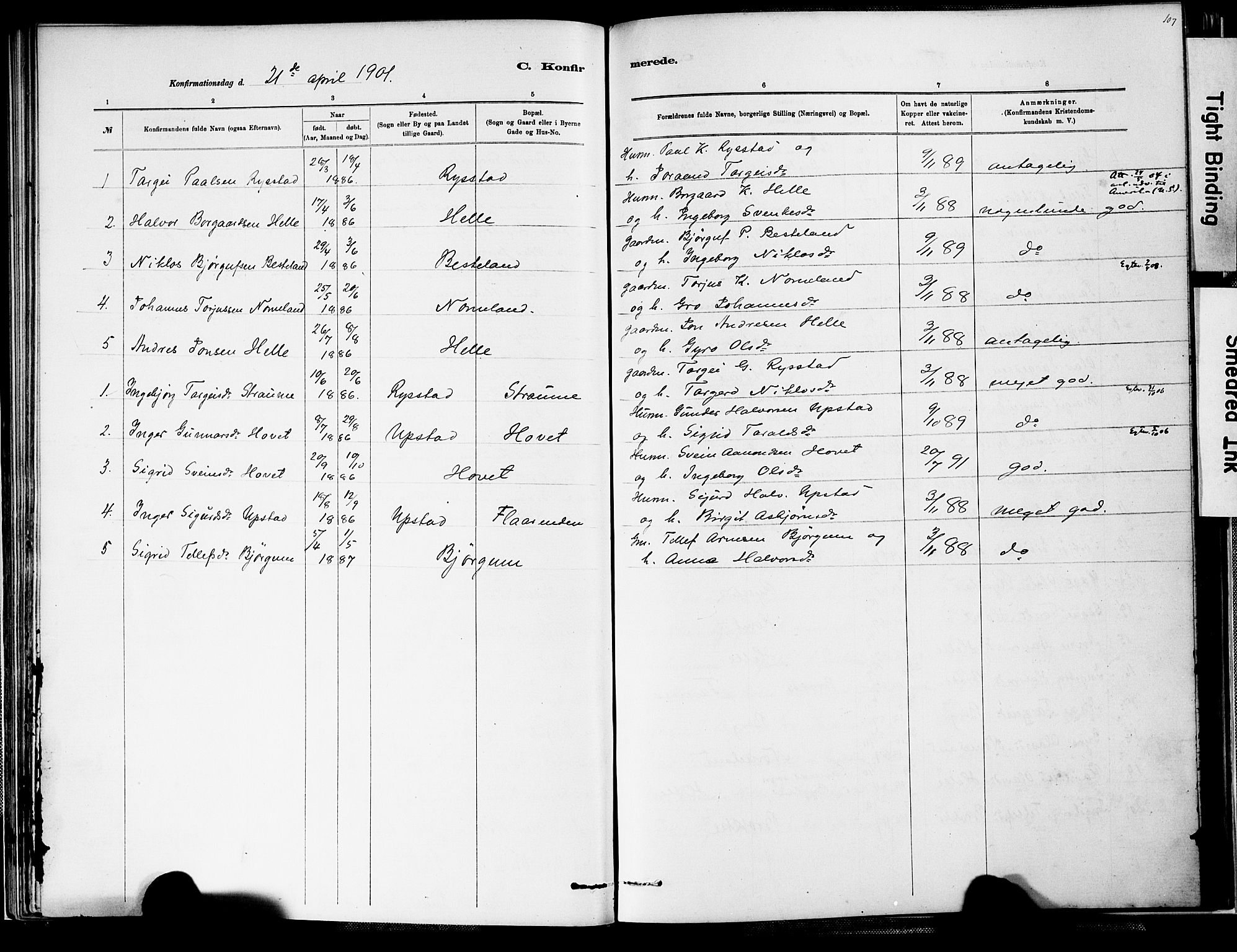 Valle sokneprestkontor, SAK/1111-0044/F/Fa/Fab/L0001: Parish register (official) no. A 1, 1882-1910, p. 107