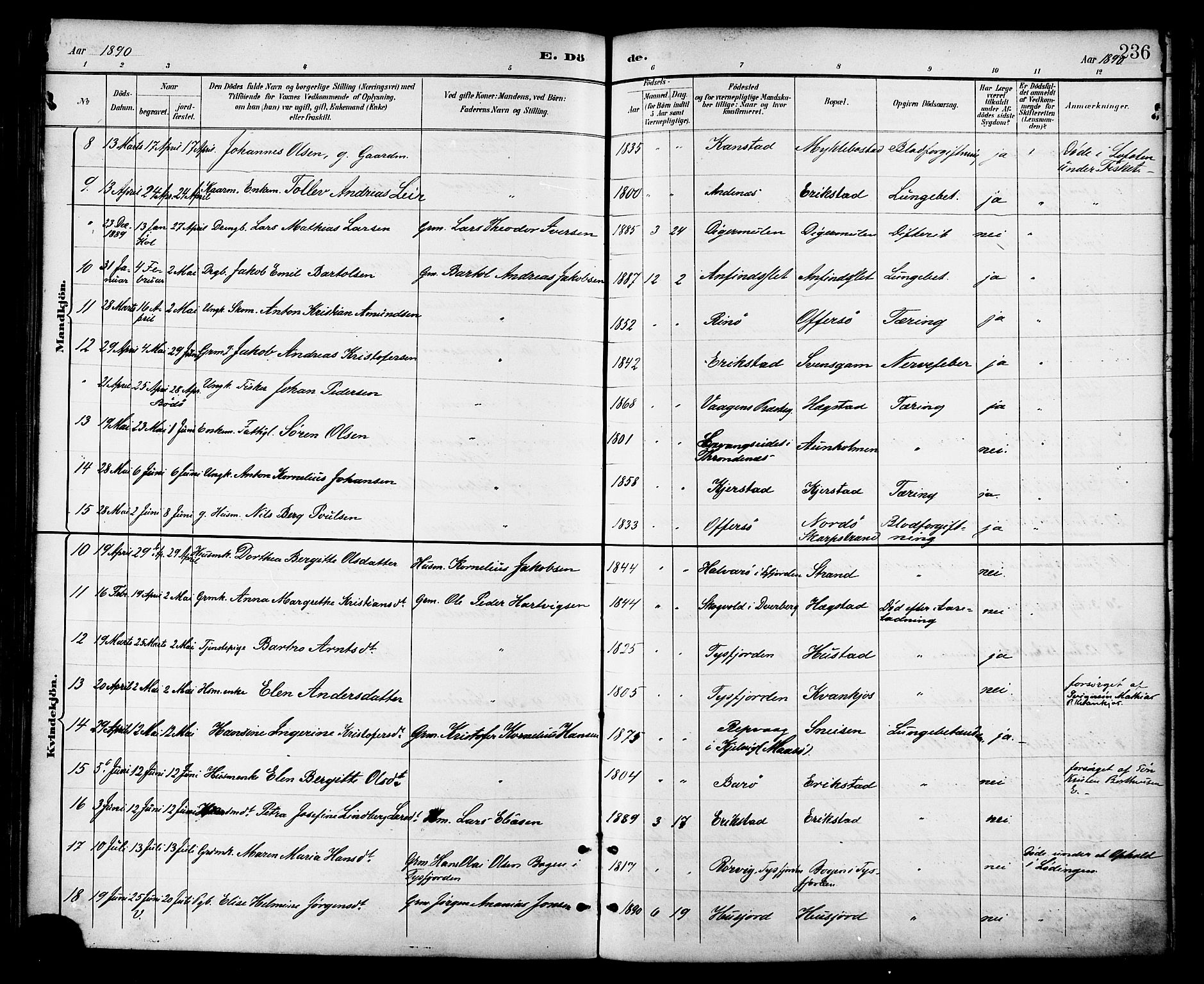 Ministerialprotokoller, klokkerbøker og fødselsregistre - Nordland, AV/SAT-A-1459/872/L1035: Parish register (official) no. 872A10, 1884-1896, p. 236