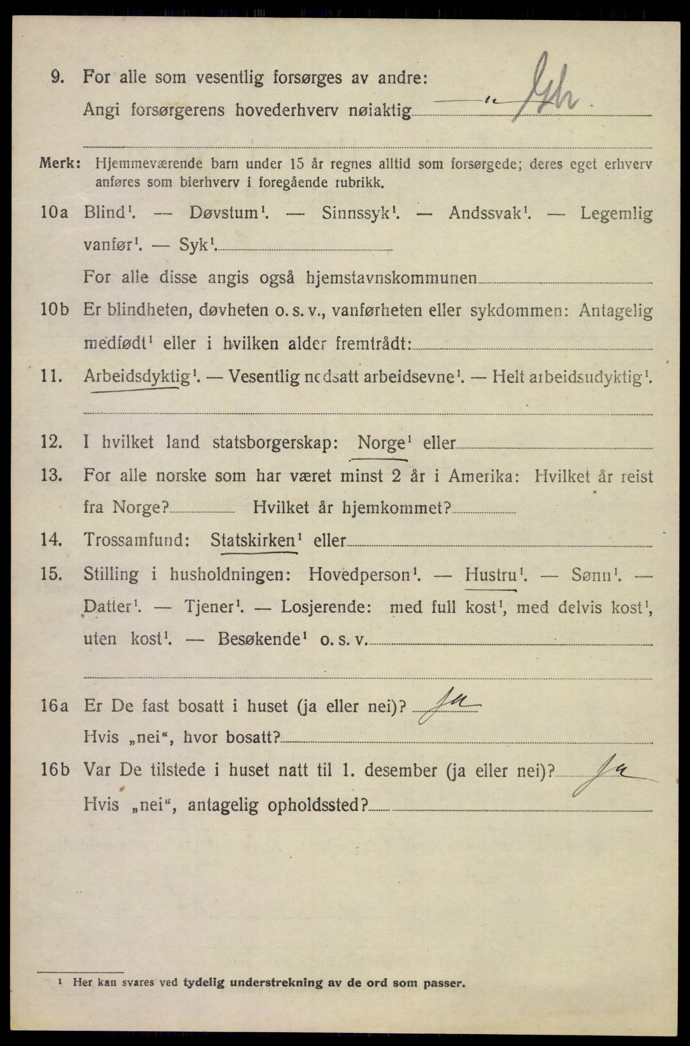 SAKO, 1920 census for Våle, 1920, p. 4151