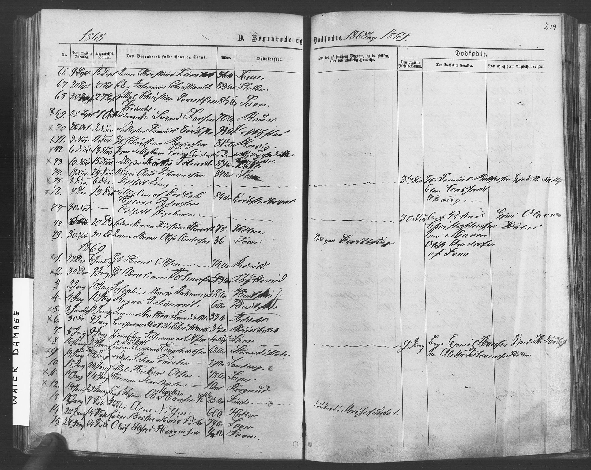Vestby prestekontor Kirkebøker, SAO/A-10893/F/Fa/L0008: Parish register (official) no. I 8, 1863-1877, p. 219