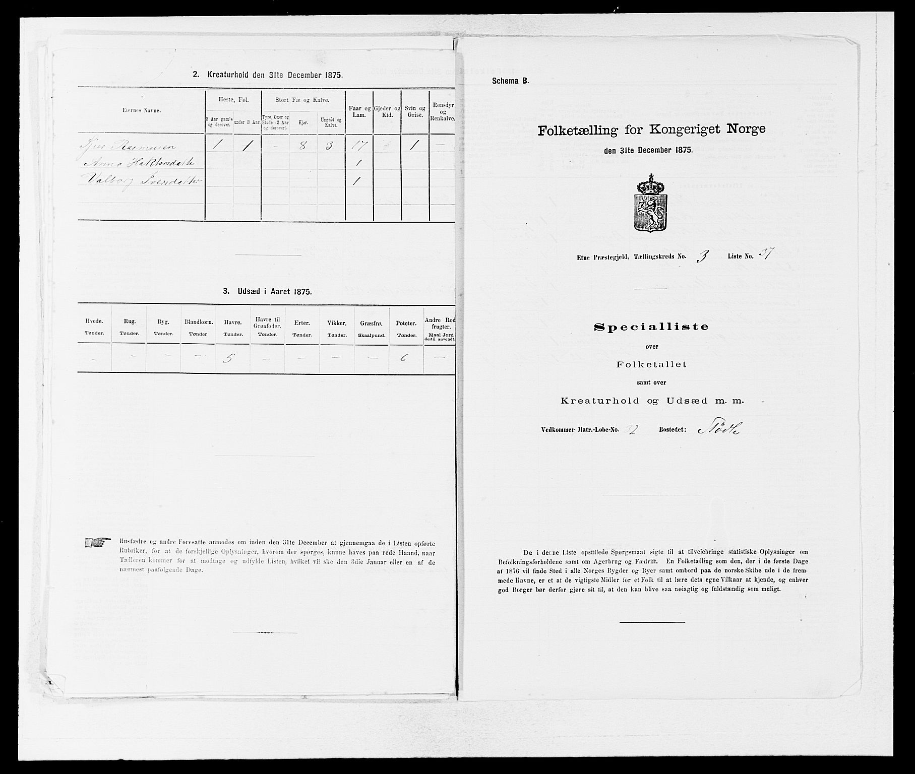 SAB, 1875 census for 1211P Etne, 1875, p. 271