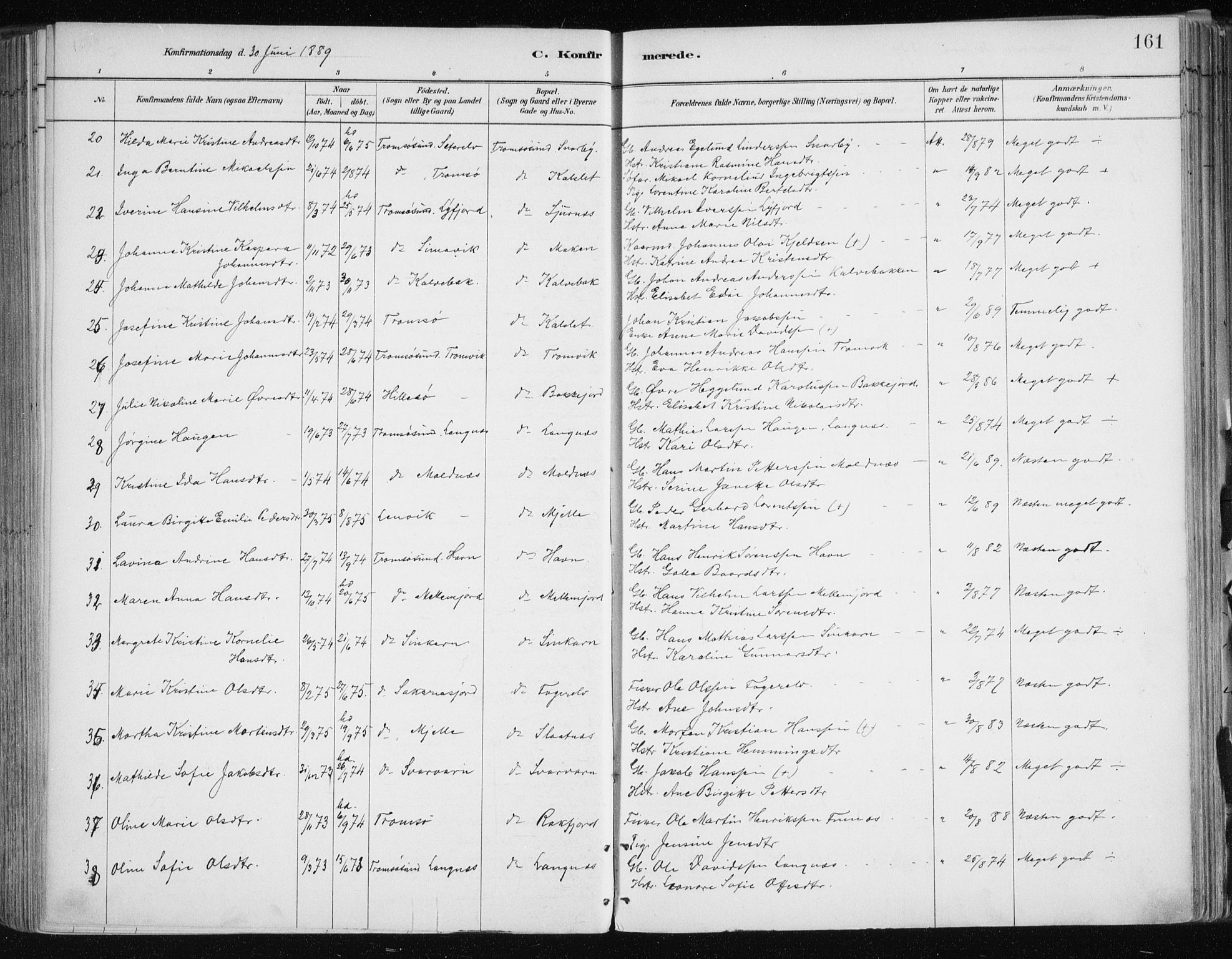 Tromsøysund sokneprestkontor, SATØ/S-1304/G/Ga/L0005kirke: Parish register (official) no. 5, 1888-1896, p. 161