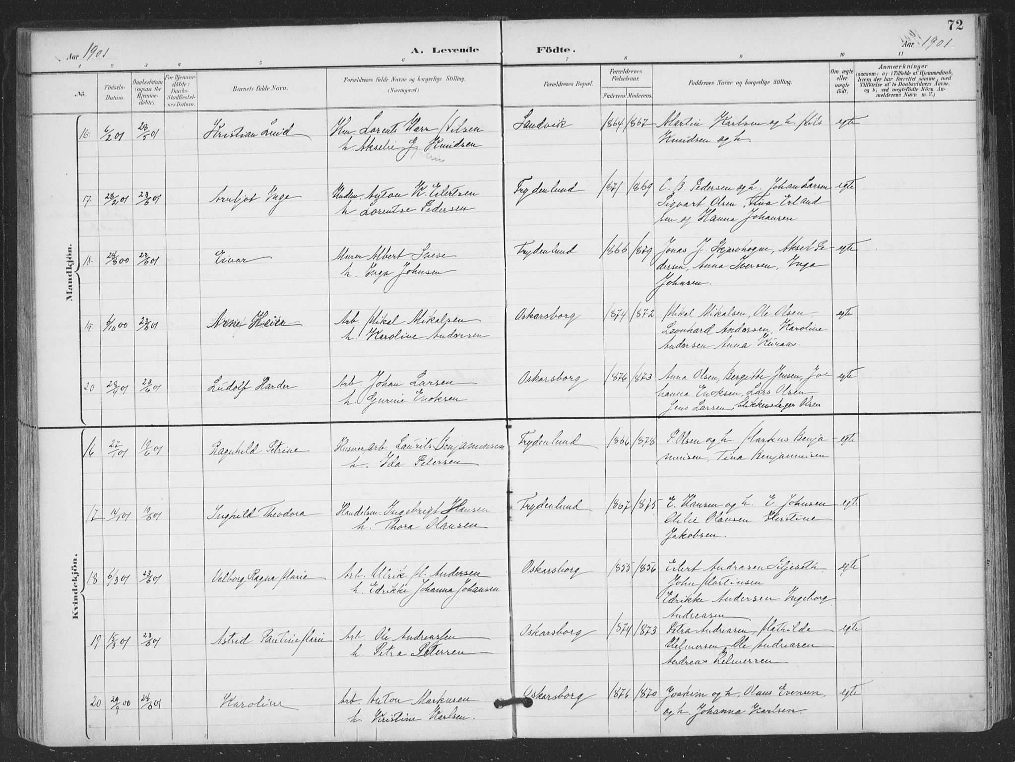 Ministerialprotokoller, klokkerbøker og fødselsregistre - Nordland, AV/SAT-A-1459/866/L0939: Parish register (official) no. 866A02, 1894-1906, p. 72