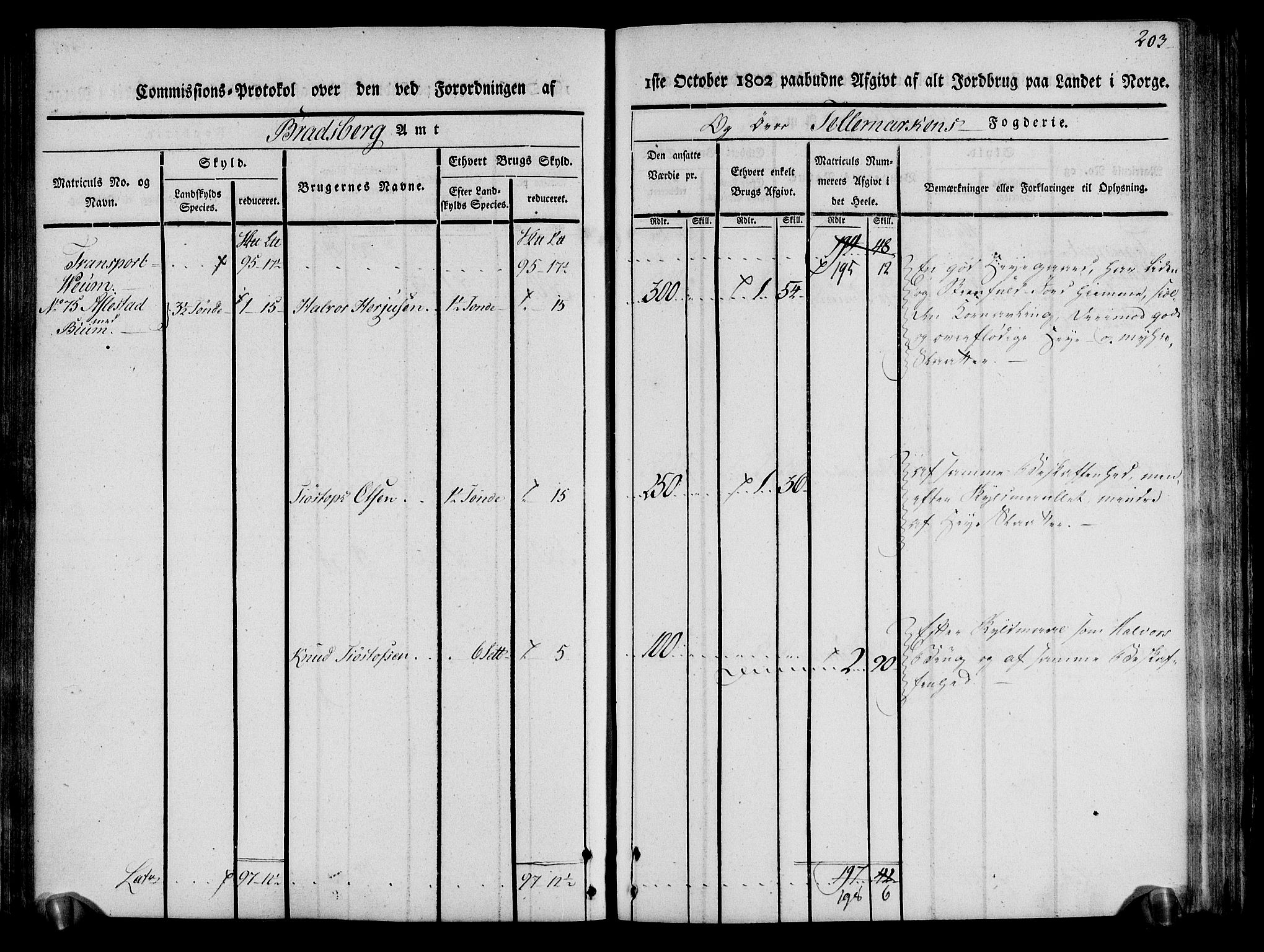 Rentekammeret inntil 1814, Realistisk ordnet avdeling, AV/RA-EA-4070/N/Ne/Nea/L0075: Øvre Telemarken fogderi. Kommisjonsprotokoll for fogderiets vestre del - Kviteseid, Vinje, Moland [):Fyresdal] og Lårdal prestegjeld., 1803, p. 205