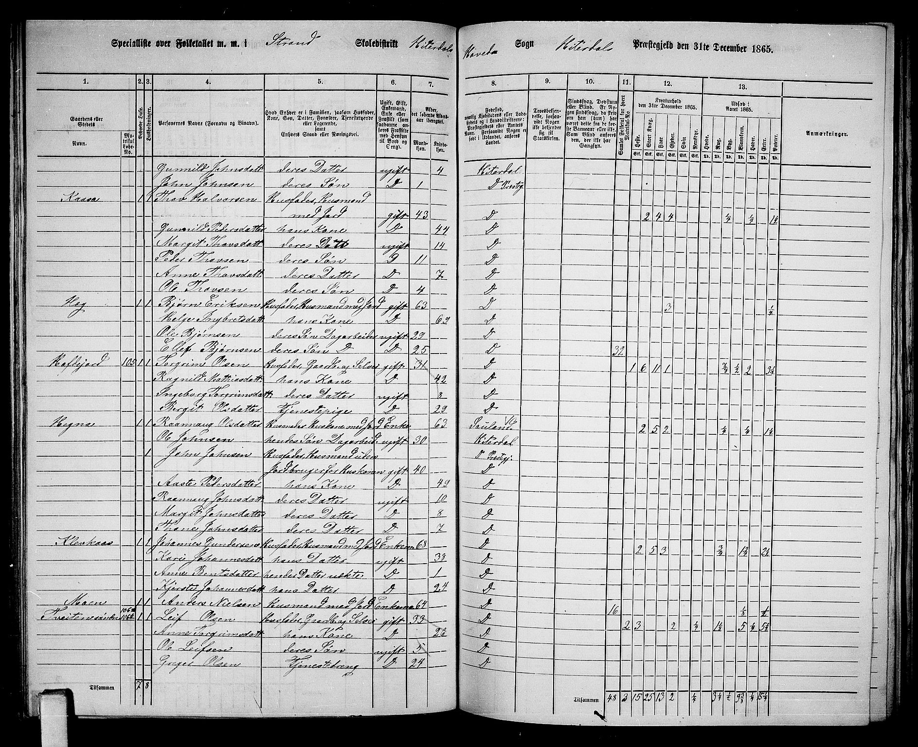 RA, 1865 census for Heddal, 1865, p. 95