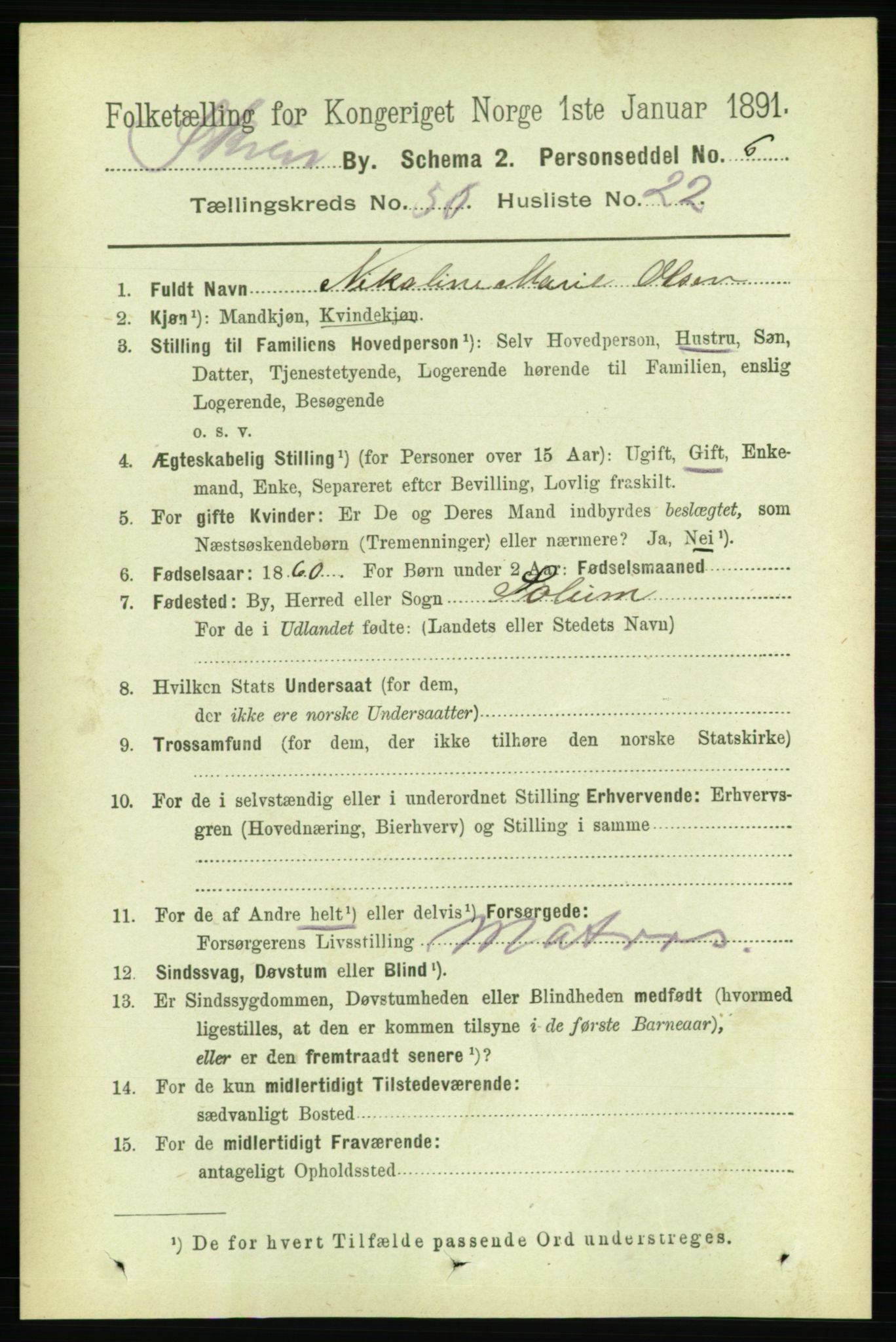 RA, 1891 census for 0806 Skien, 1891, p. 10990