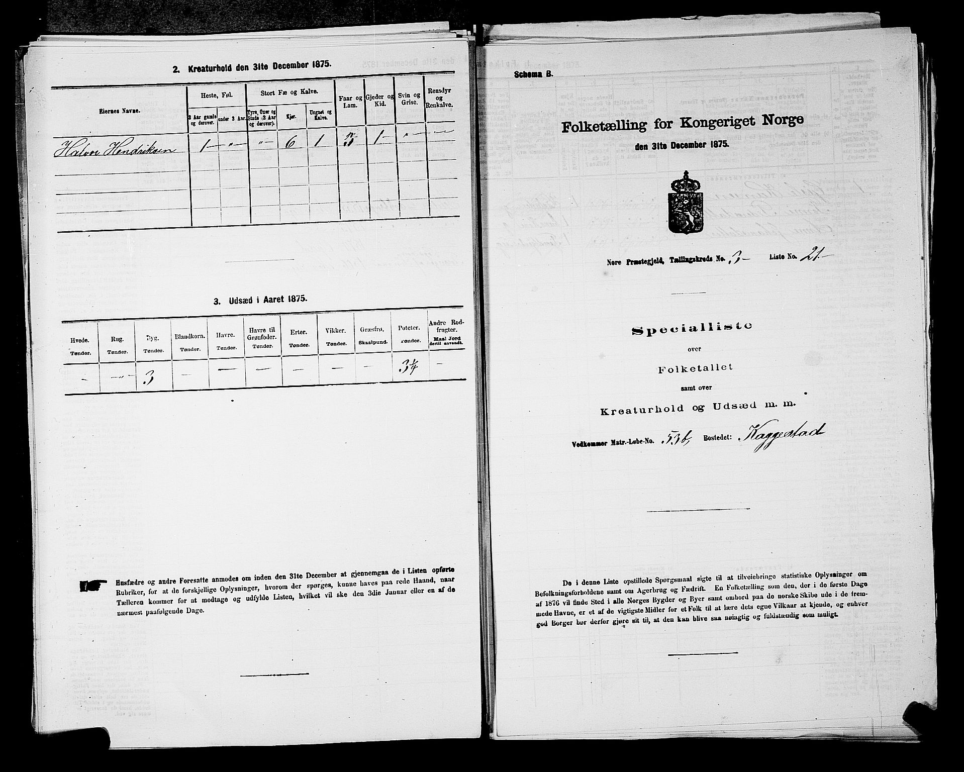 SAKO, 1875 census for 0633P Nore, 1875, p. 414