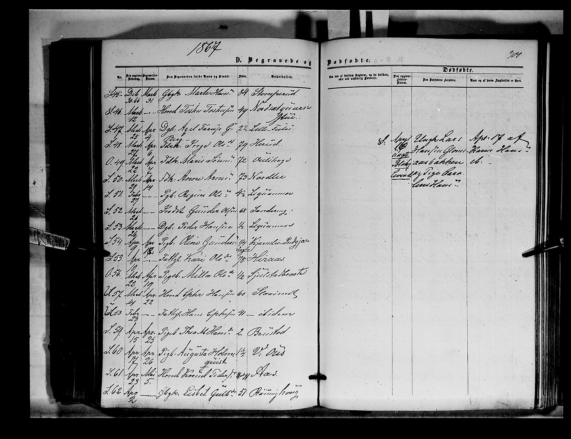 Sør-Odal prestekontor, AV/SAH-PREST-030/H/Ha/Haa/L0003: Parish register (official) no. 3, 1864-1870, p. 300