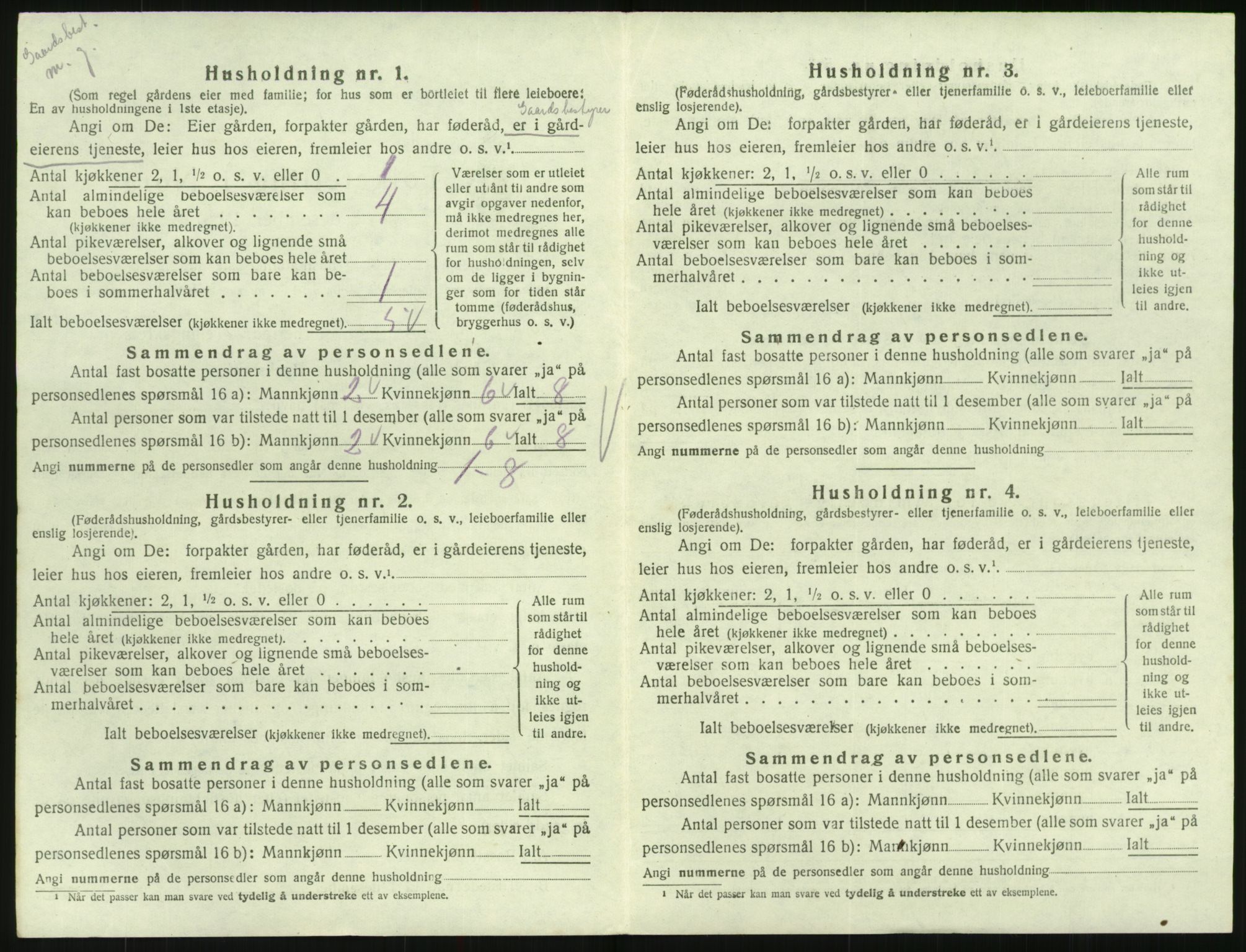 SAK, 1920 census for Hornnes, 1920, p. 170