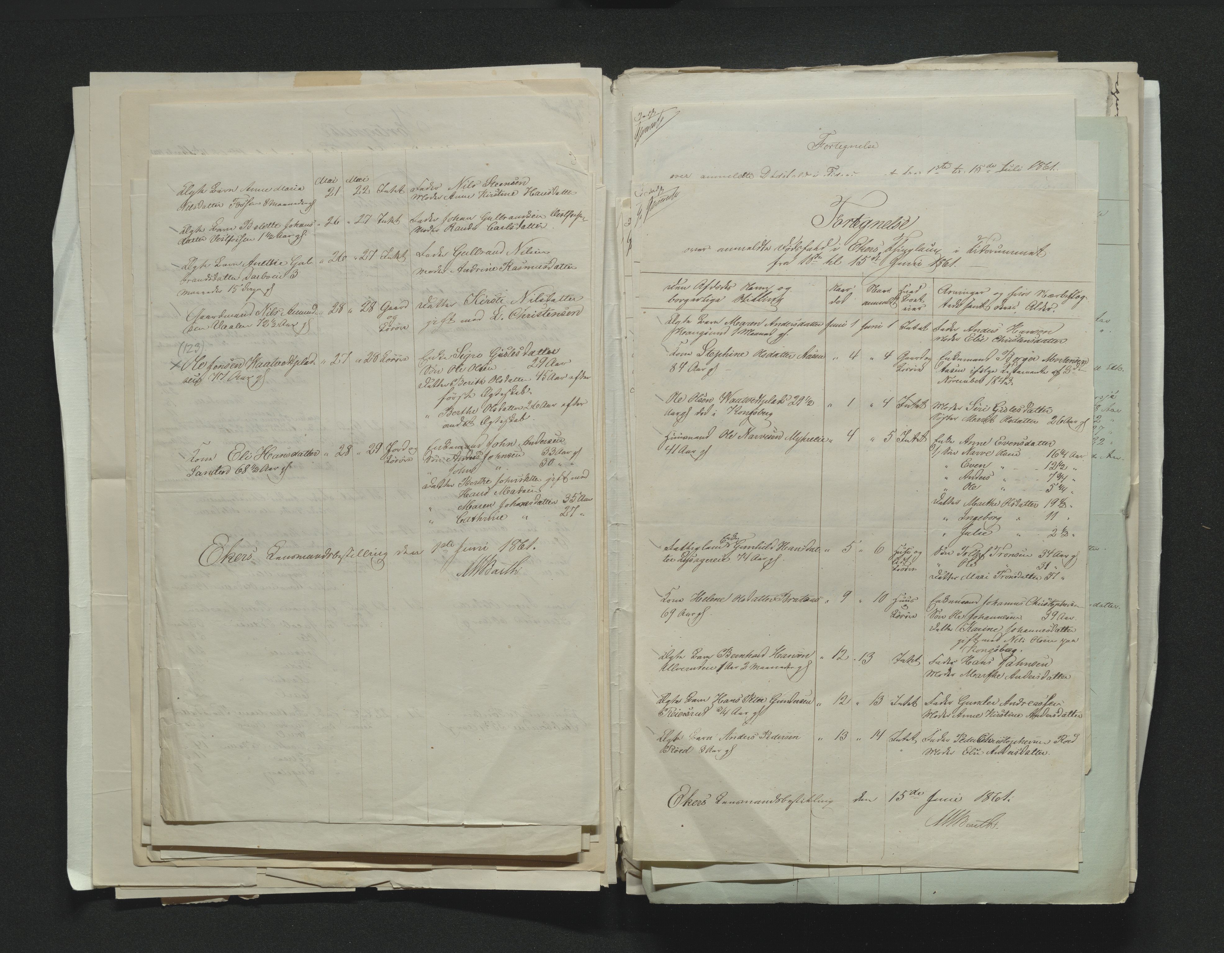 Eiker, Modum og Sigdal sorenskriveri, AV/SAKO-A-123/H/Ha/Hab/L0010: Dødsfallsmeldinger, 1858-1861, p. 421