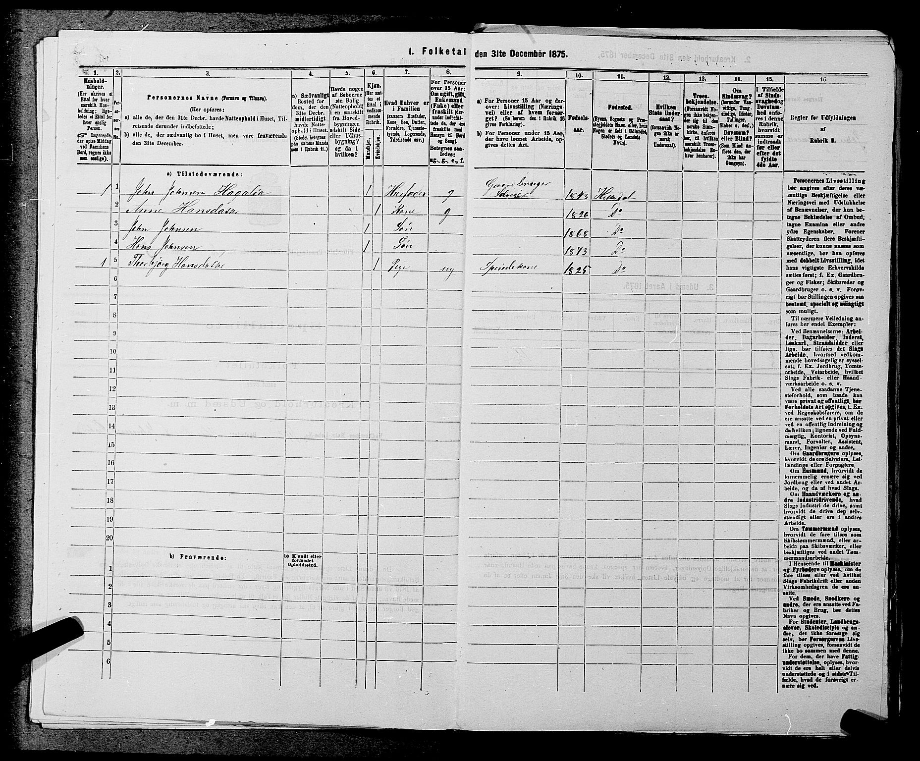 SAKO, 1875 census for 0823P Heddal, 1875, p. 225