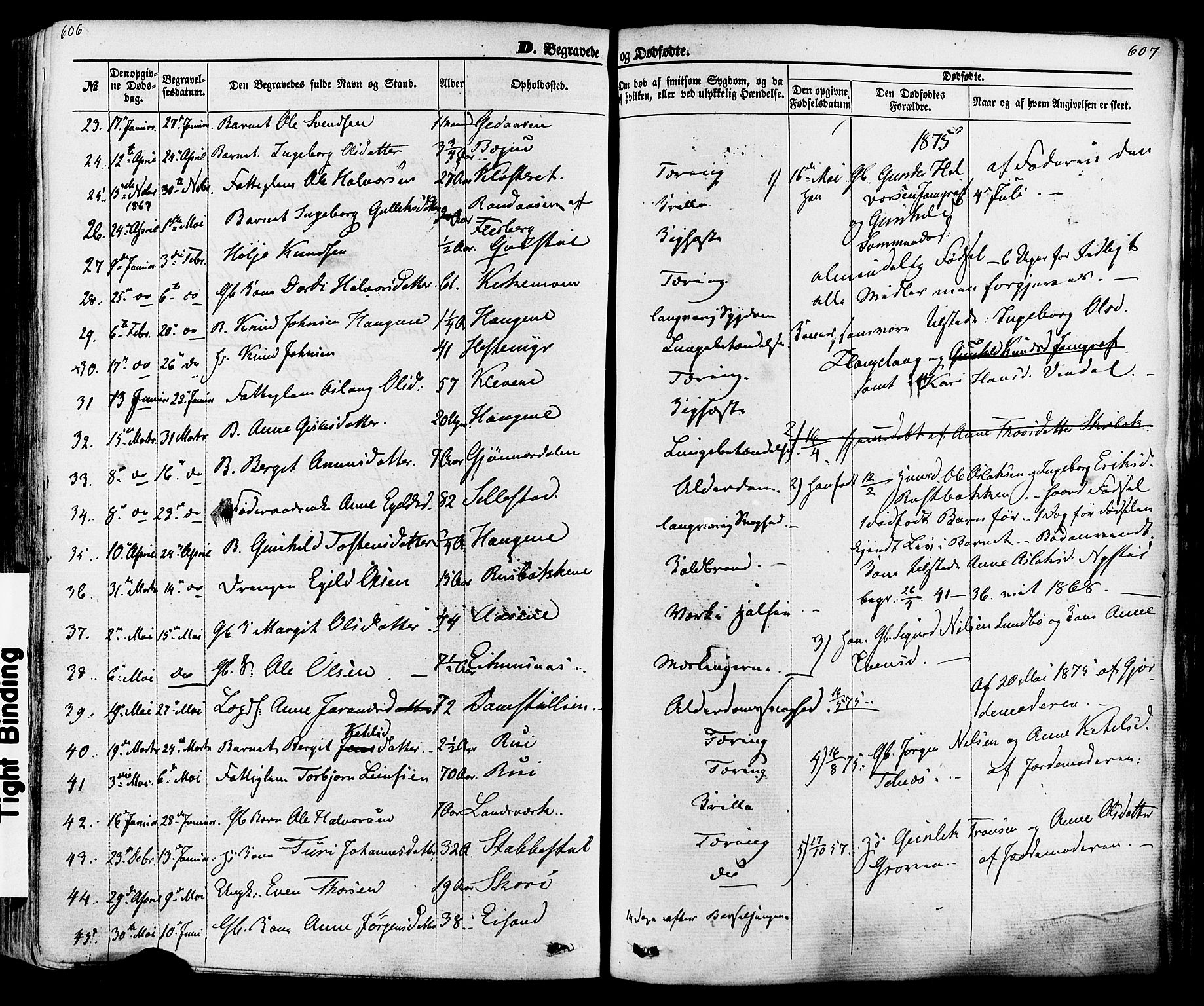 Seljord kirkebøker, AV/SAKO-A-20/F/Fa/L0013: Parish register (official) no. I 13, 1866-1876, p. 606-607