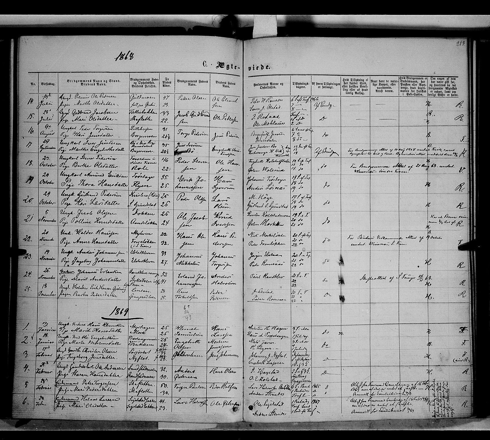 Ringebu prestekontor, SAH/PREST-082/H/Ha/Haa/L0007: Parish register (official) no. 7, 1860-1877, p. 213