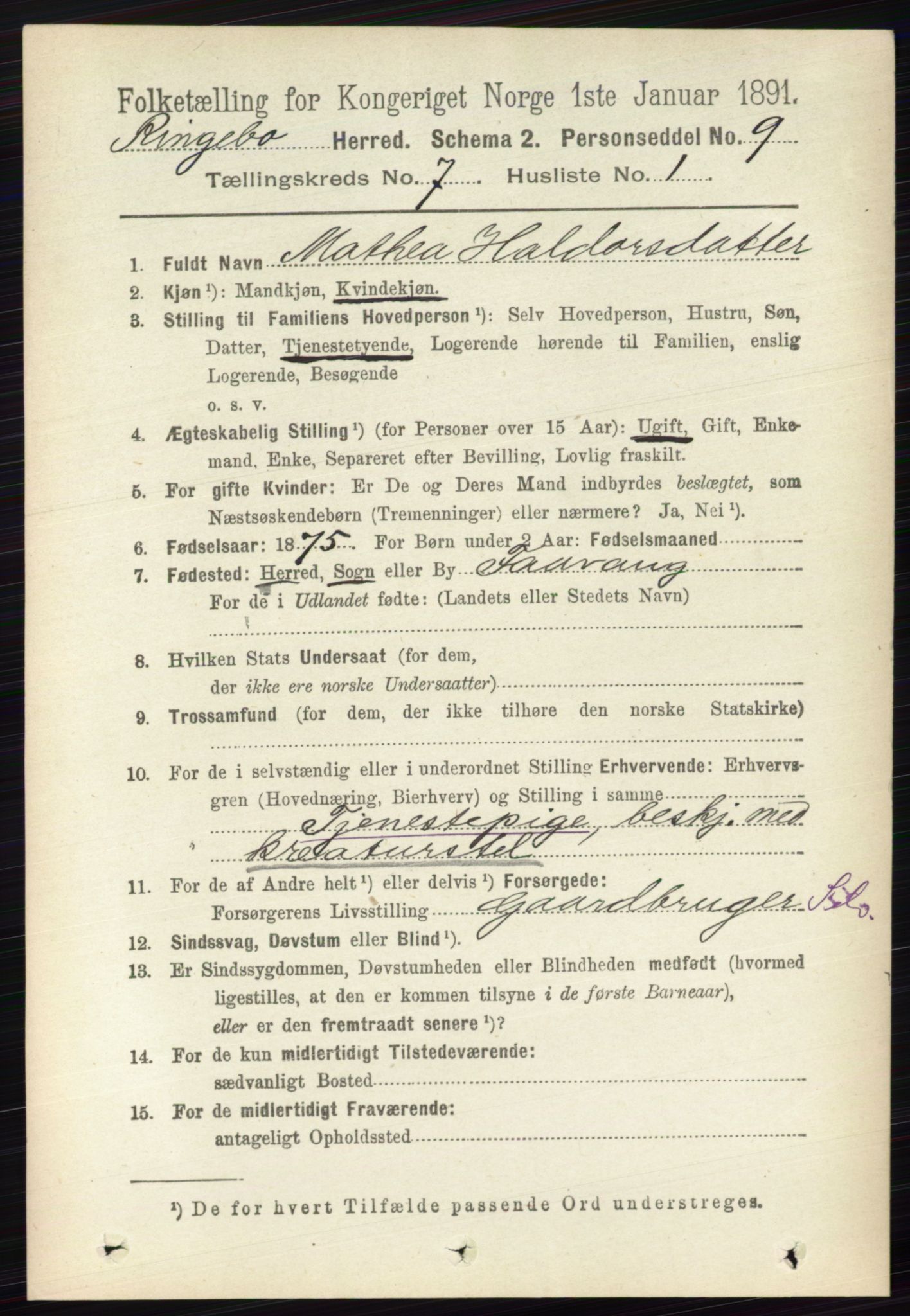 RA, 1891 census for 0520 Ringebu, 1891, p. 3043