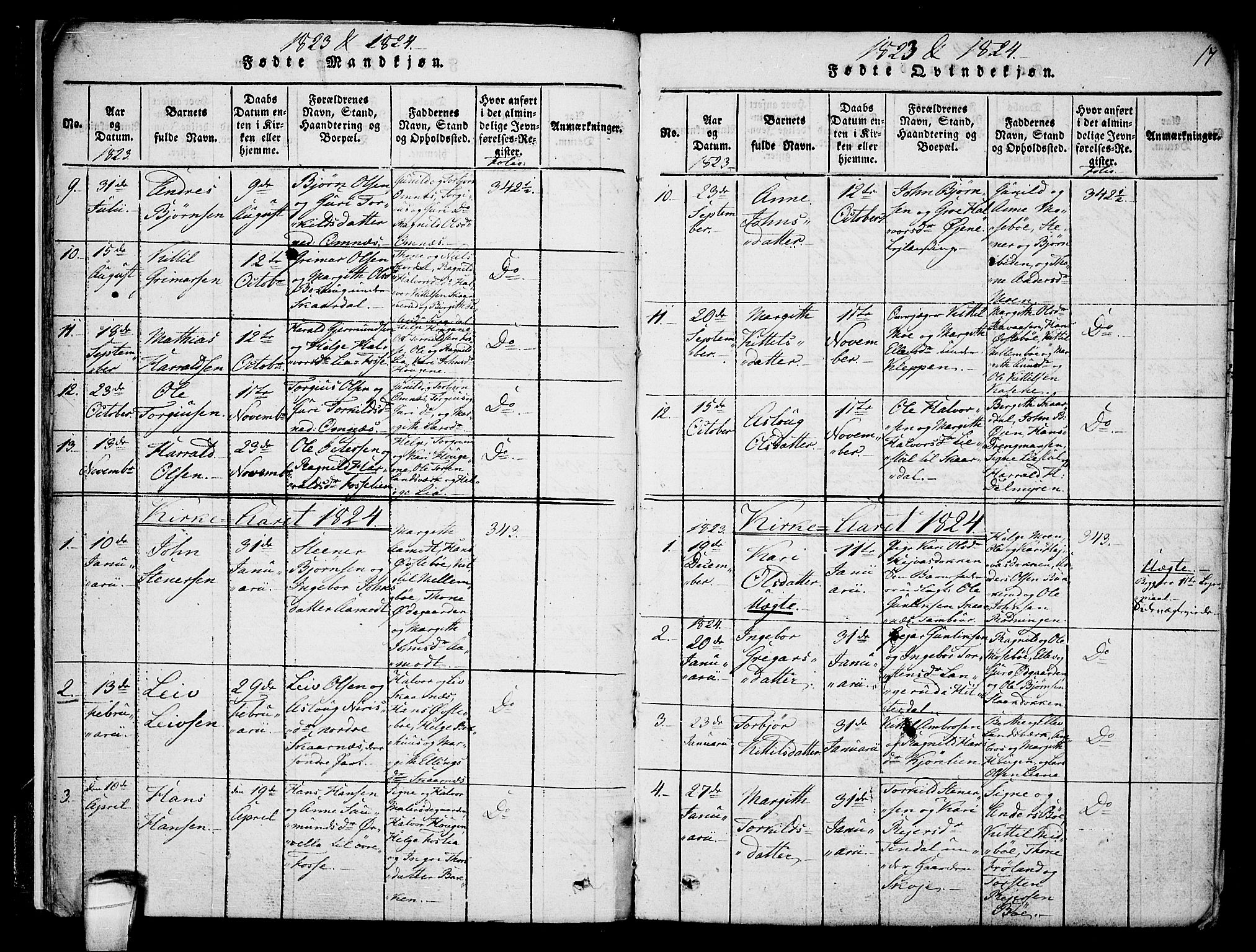 Hjartdal kirkebøker, SAKO/A-270/F/Fb/L0001: Parish register (official) no. II 1, 1815-1843, p. 17