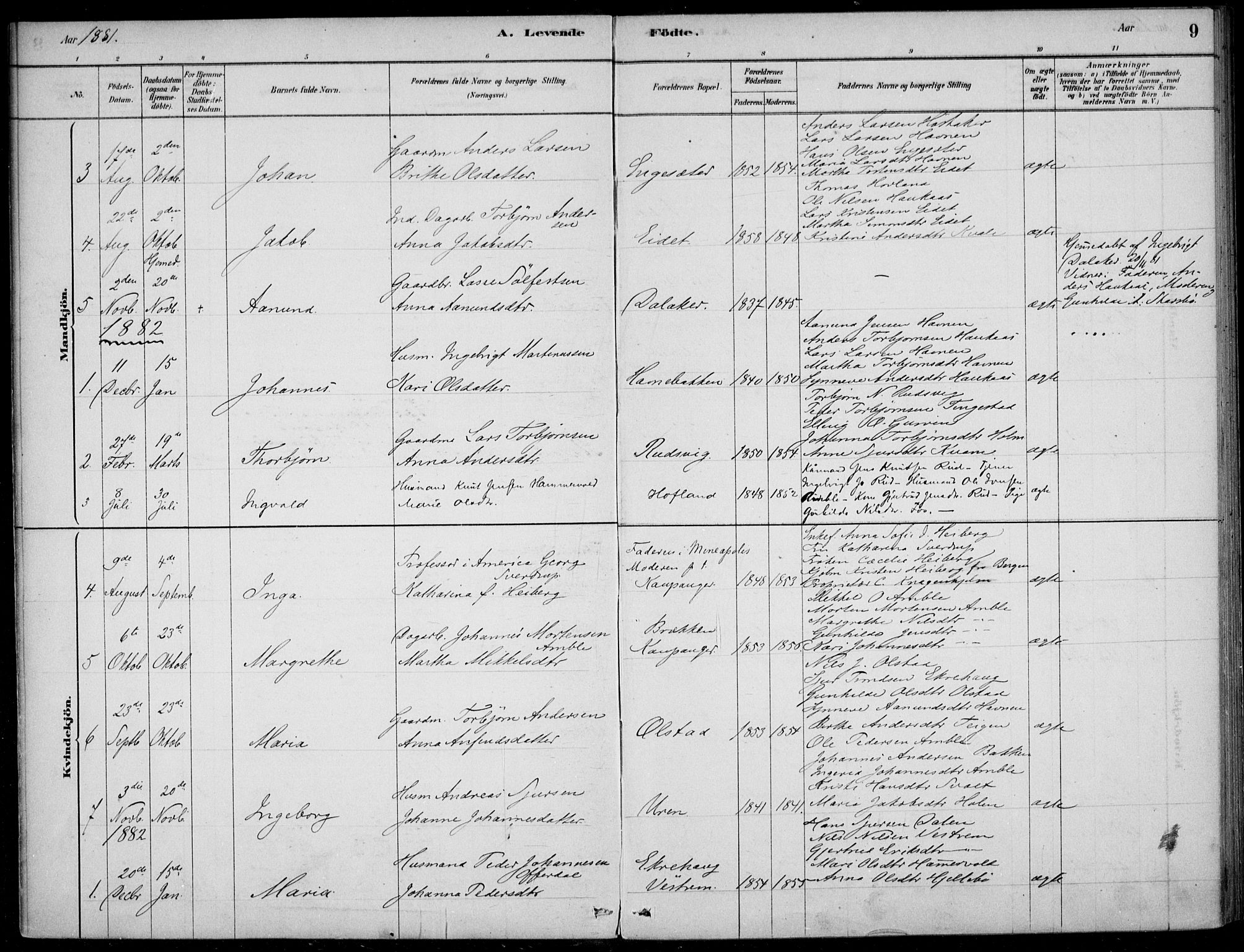 Sogndal sokneprestembete, SAB/A-81301/H/Haa/Haad/L0001: Parish register (official) no. D  1, 1878-1907, p. 9