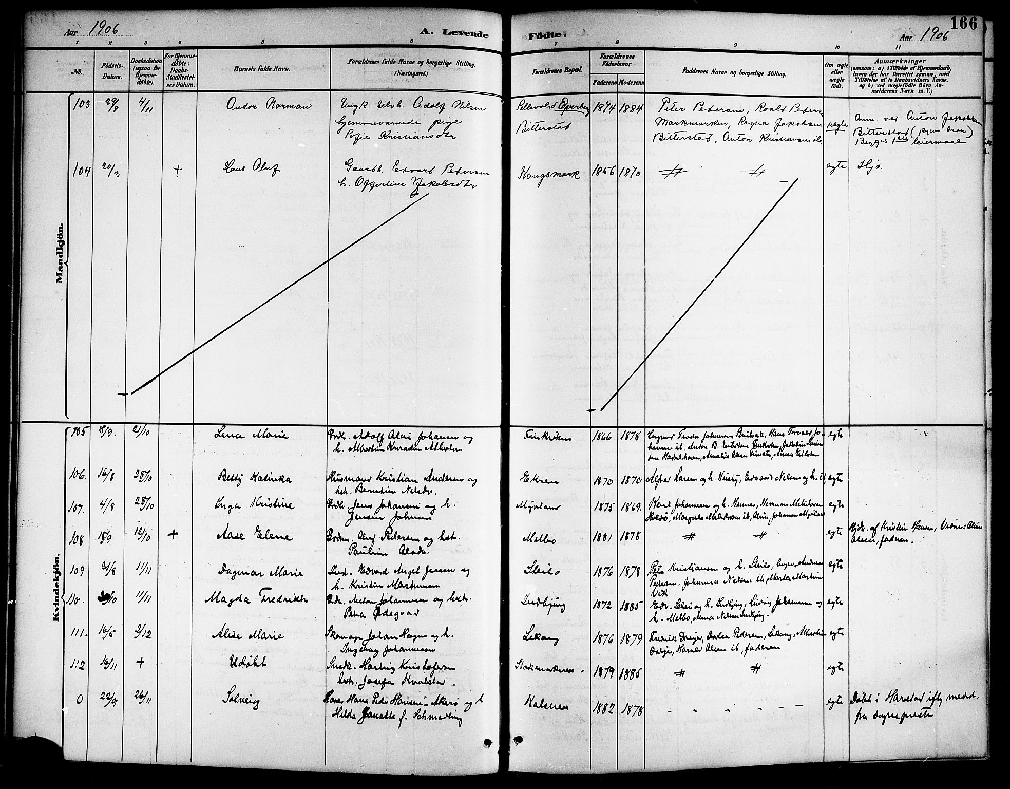 Ministerialprotokoller, klokkerbøker og fødselsregistre - Nordland, AV/SAT-A-1459/888/L1268: Parish register (copy) no. 888C06, 1891-1908, p. 166