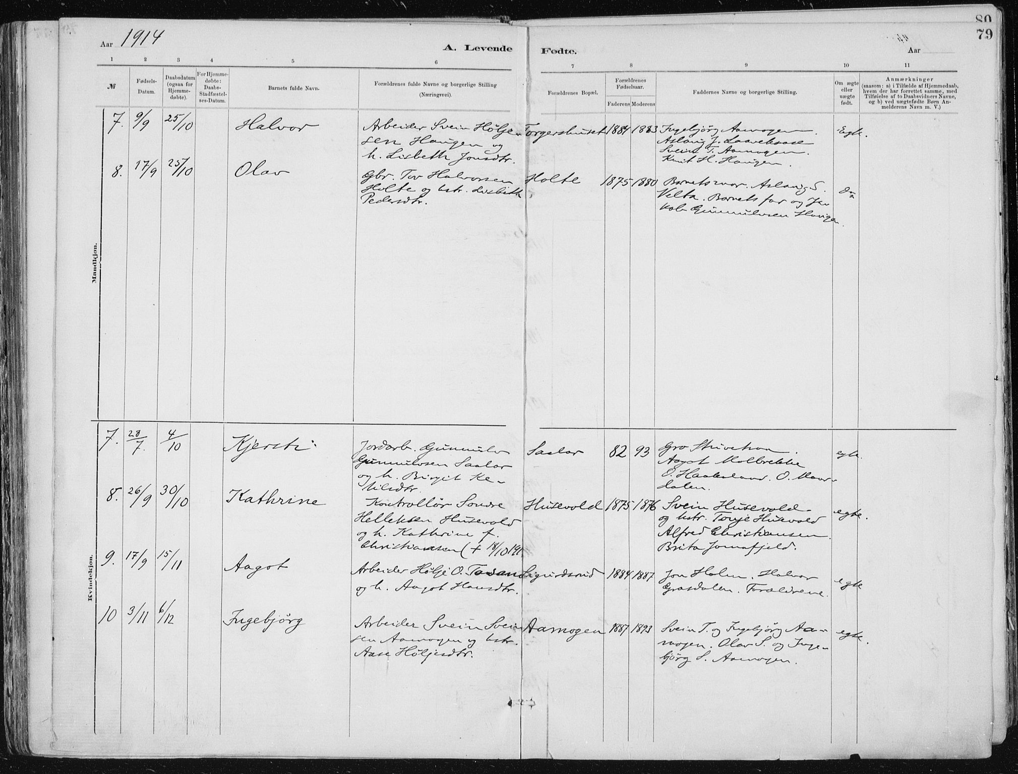 Tinn kirkebøker, AV/SAKO-A-308/F/Fa/L0007: Parish register (official) no. I 7, 1878-1922, p. 79