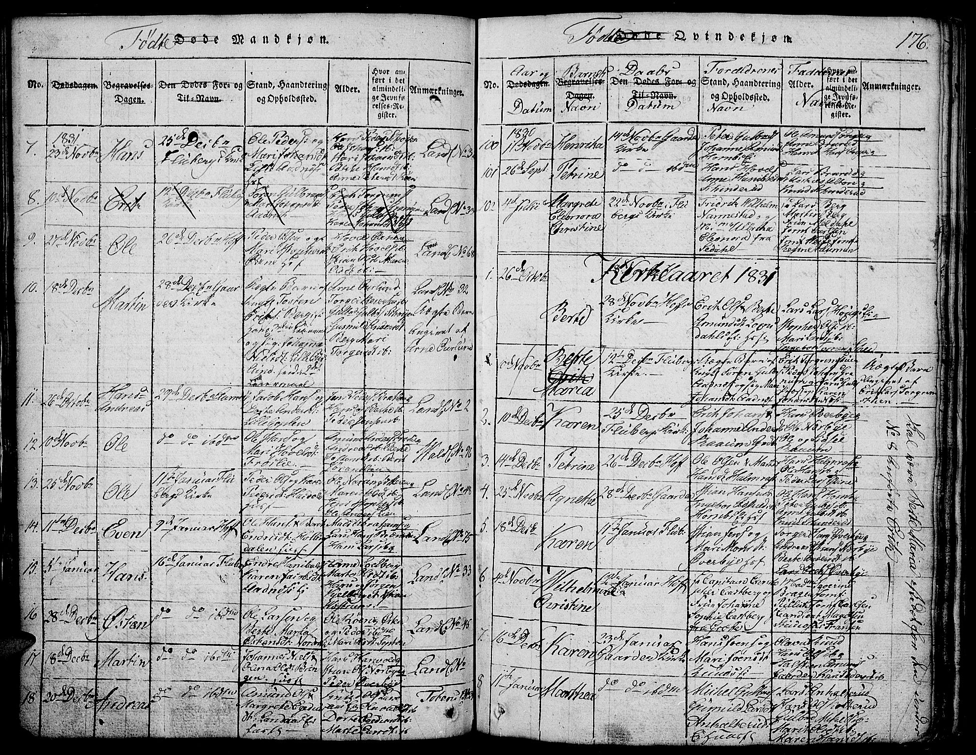Land prestekontor, SAH/PREST-120/H/Ha/Hab/L0001: Parish register (copy) no. 1, 1814-1833, p. 176