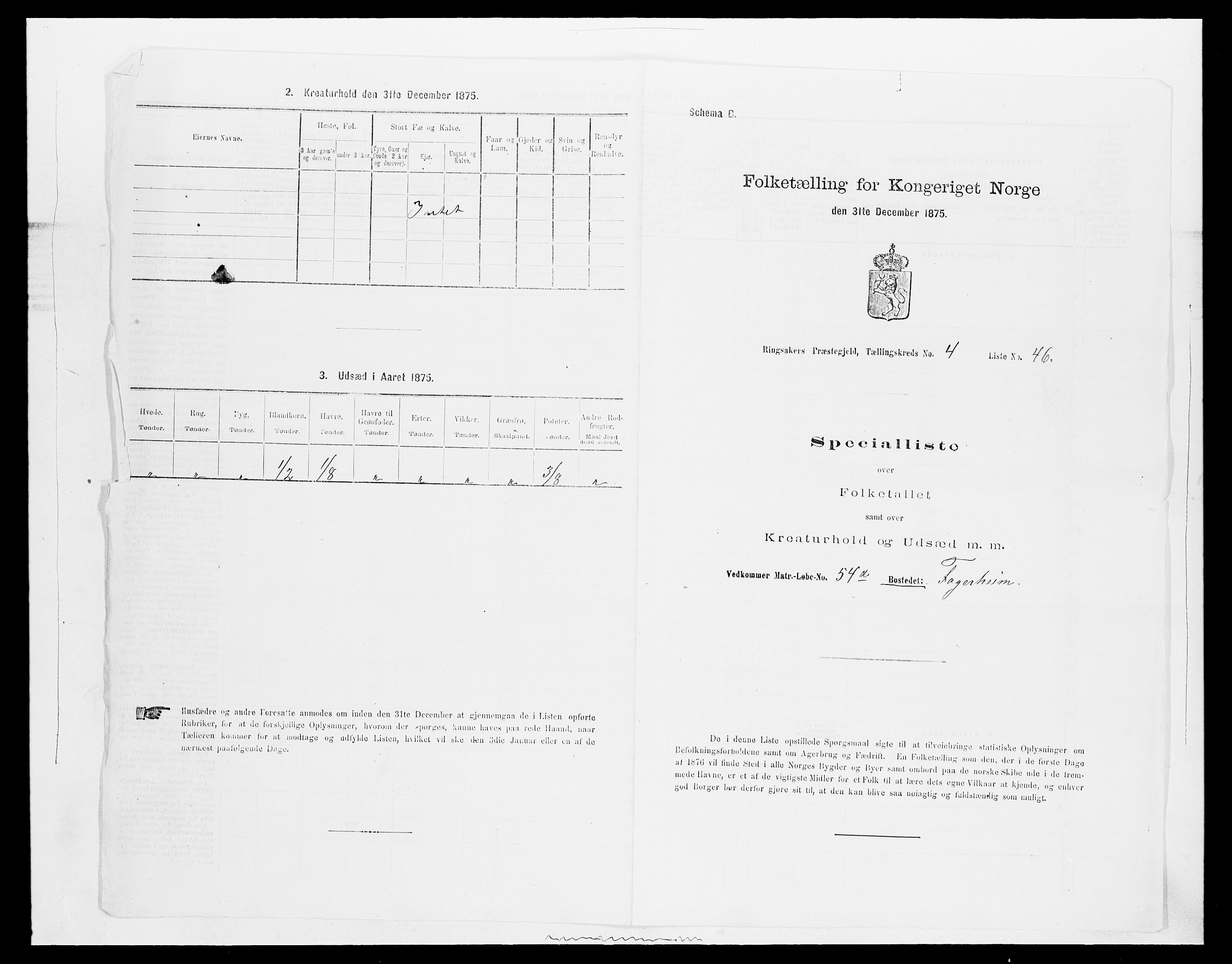 SAH, 1875 census for 0412P Ringsaker, 1875, p. 925