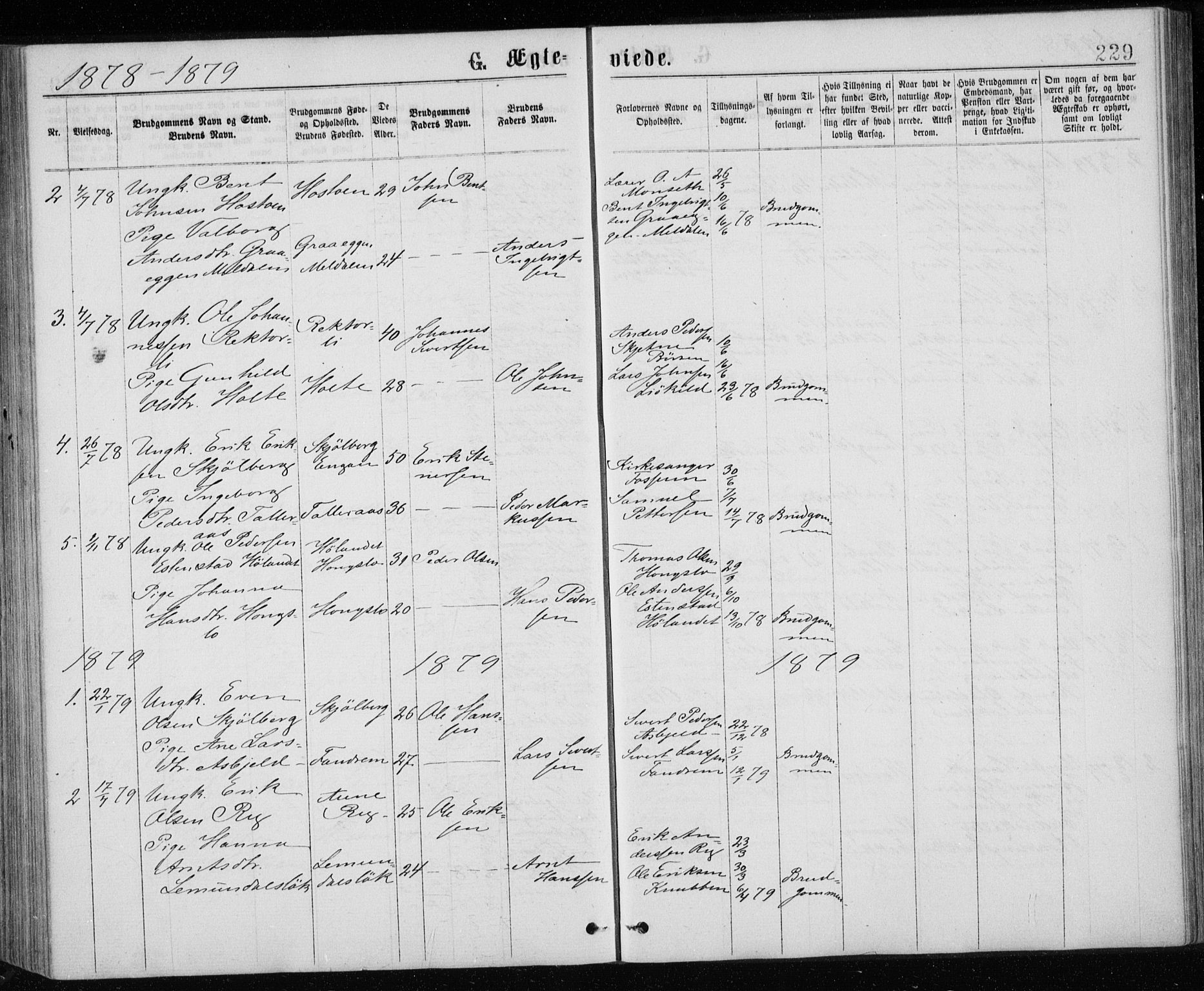 Ministerialprotokoller, klokkerbøker og fødselsregistre - Sør-Trøndelag, AV/SAT-A-1456/671/L0843: Parish register (copy) no. 671C02, 1873-1892, p. 229