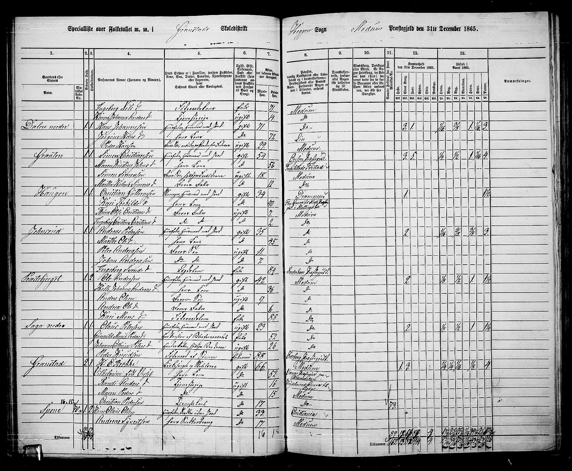 RA, 1865 census for Modum, 1865, p. 58