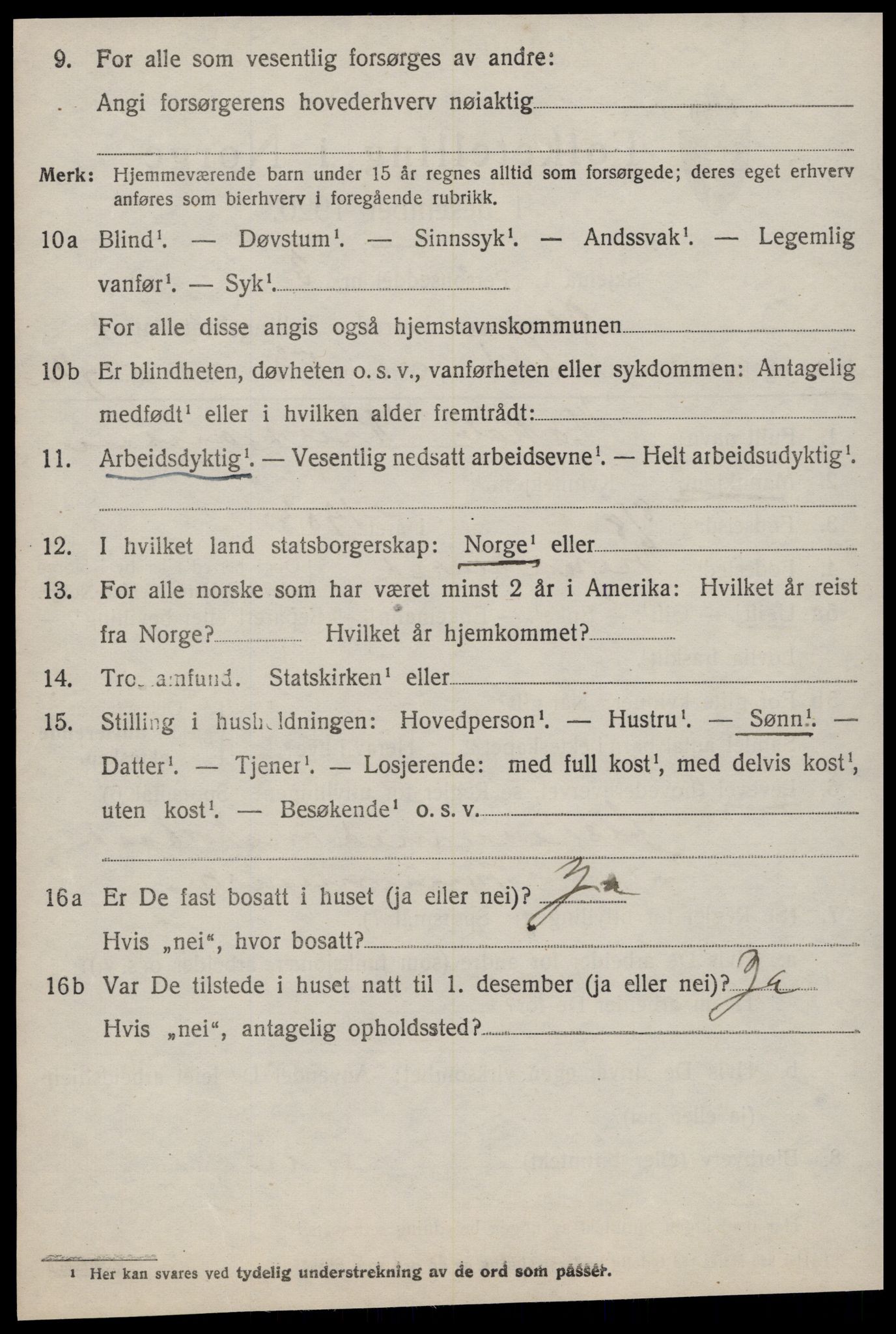 SAT, 1920 census for Hopen, 1920, p. 1263