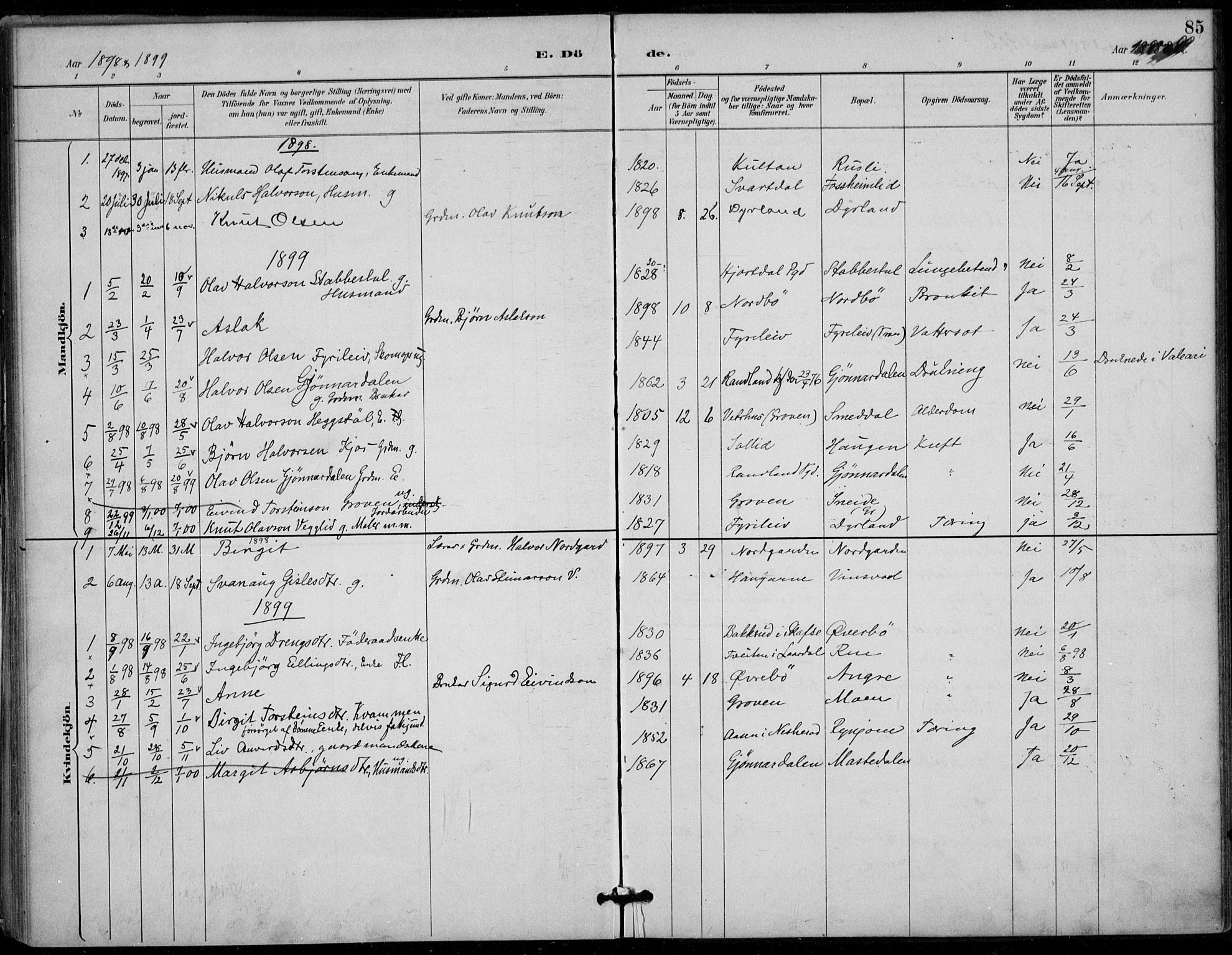 Seljord kirkebøker, SAKO/A-20/F/Fc/L0002: Parish register (official) no. III 2, 1887-1920, p. 85
