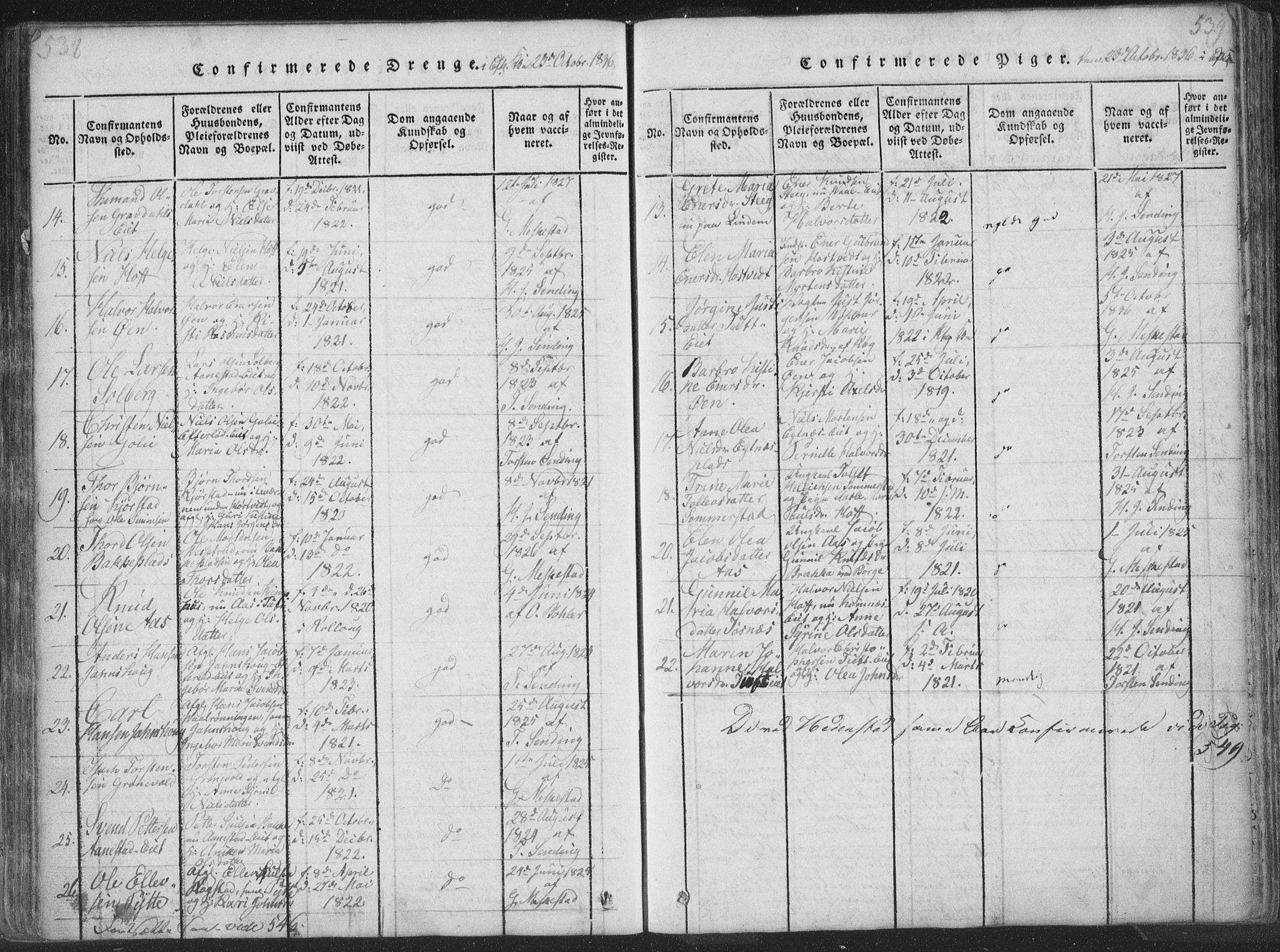 Sandsvær kirkebøker, AV/SAKO-A-244/F/Fa/L0004: Parish register (official) no. I 4, 1817-1839, p. 538-539