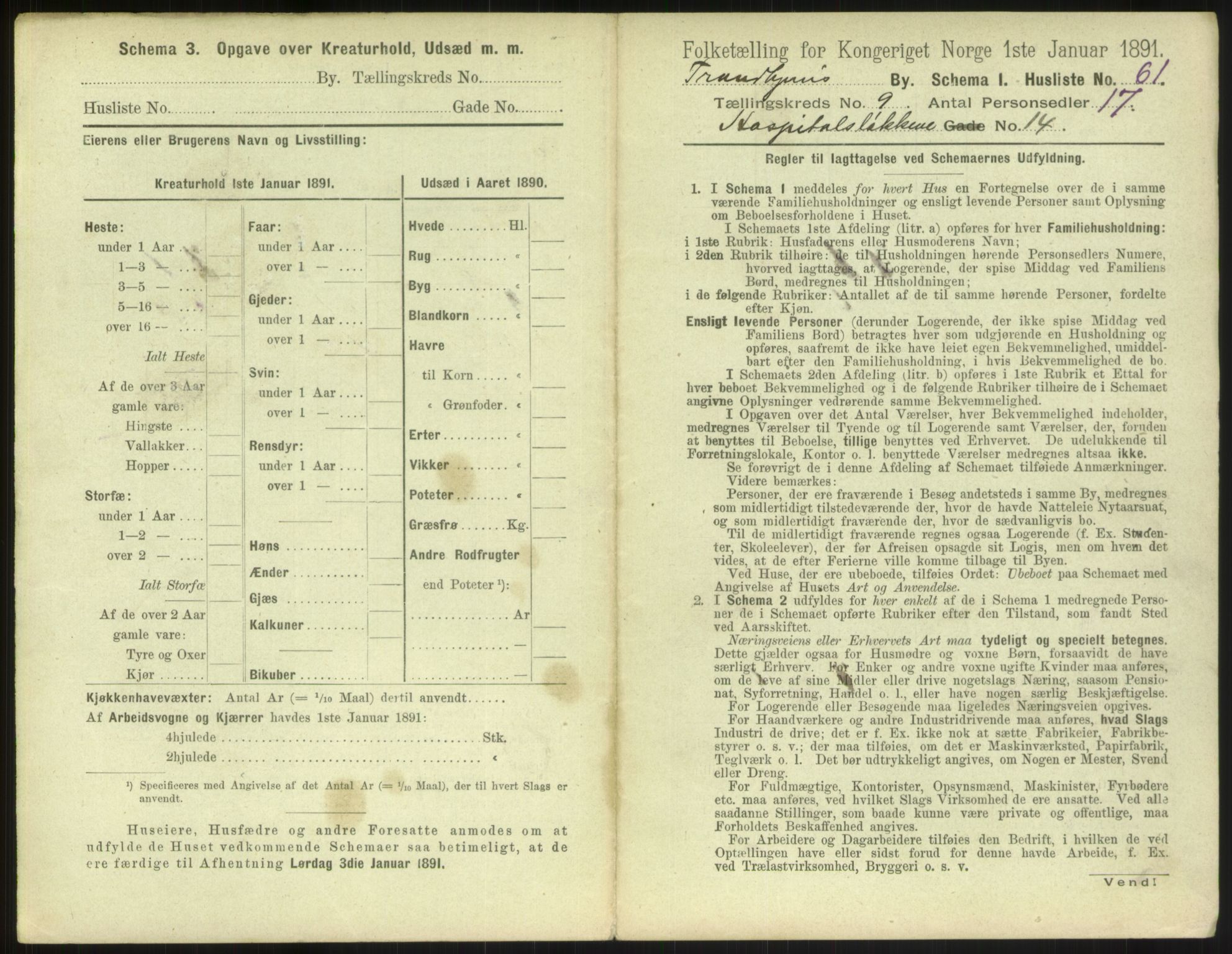 RA, 1891 census for 1601 Trondheim, 1891, p. 1146