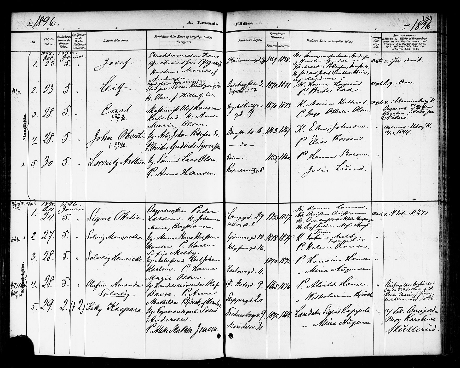 Rikshospitalet prestekontor Kirkebøker, SAO/A-10309b/F/L0009: Parish register (official) no. 9, 1894-1897, p. 185