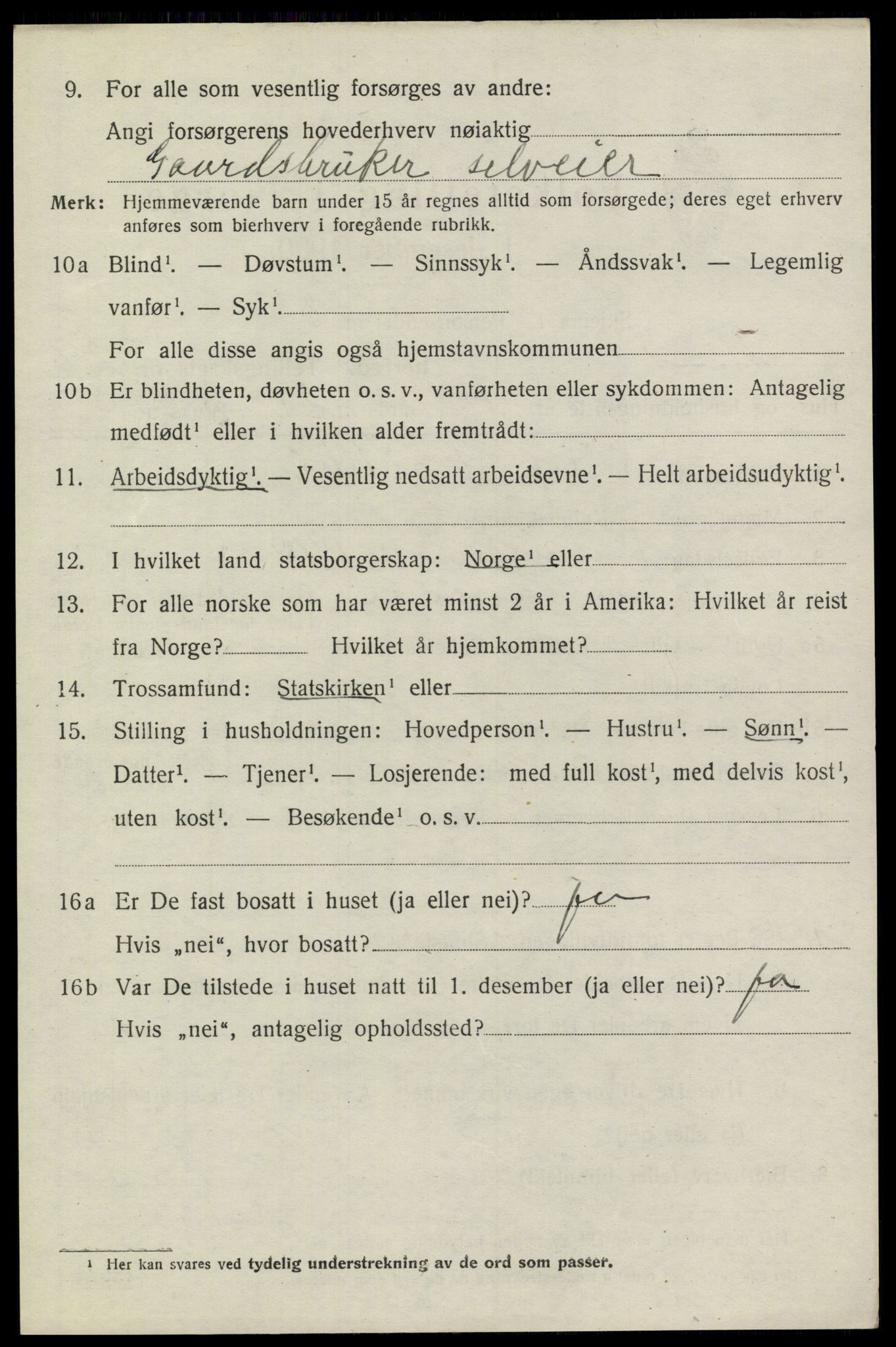 SAKO, 1920 census for Heddal, 1920, p. 3007