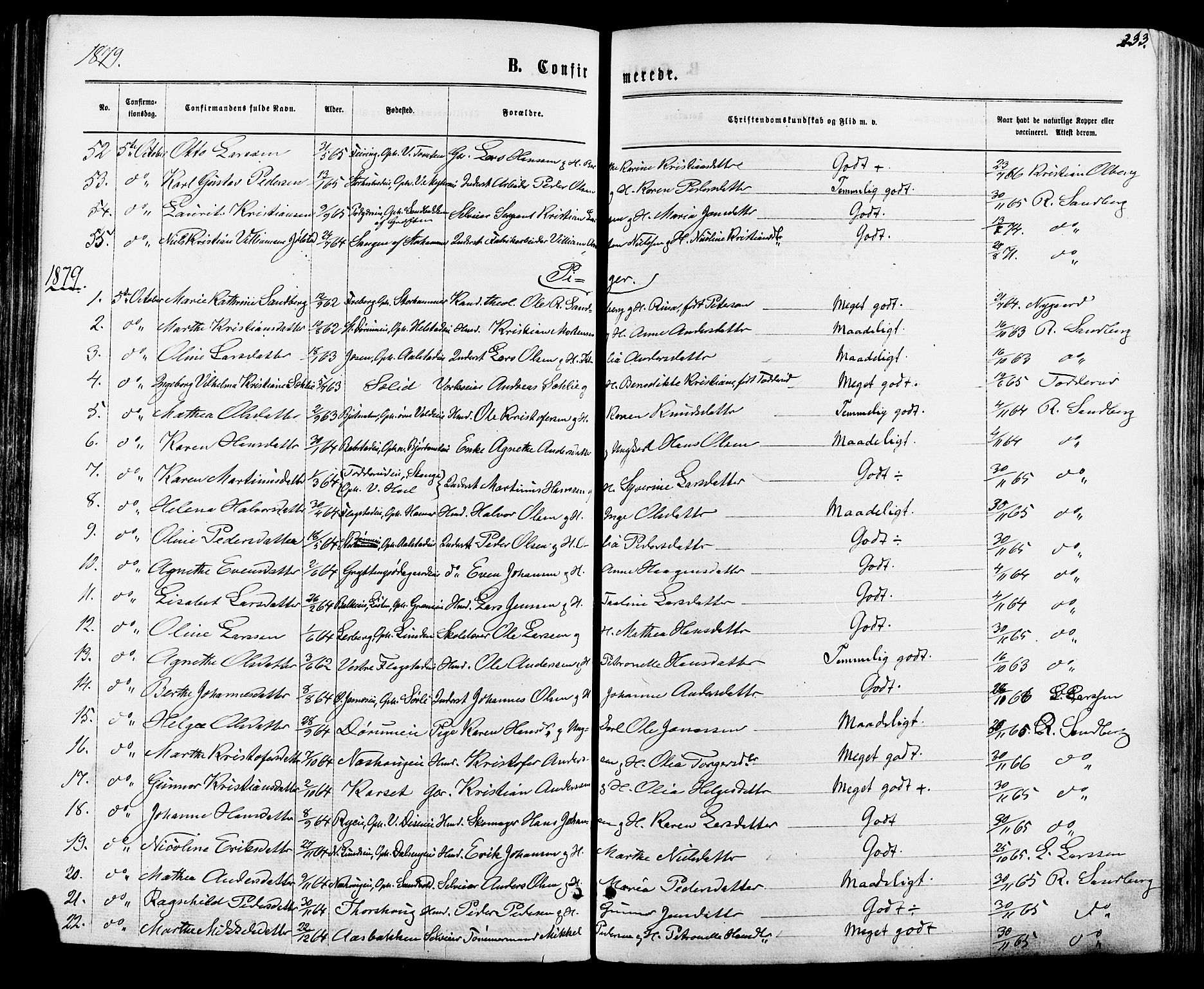 Vang prestekontor, Hedmark, AV/SAH-PREST-008/H/Ha/Haa/L0015: Parish register (official) no. 15, 1871-1885, p. 233