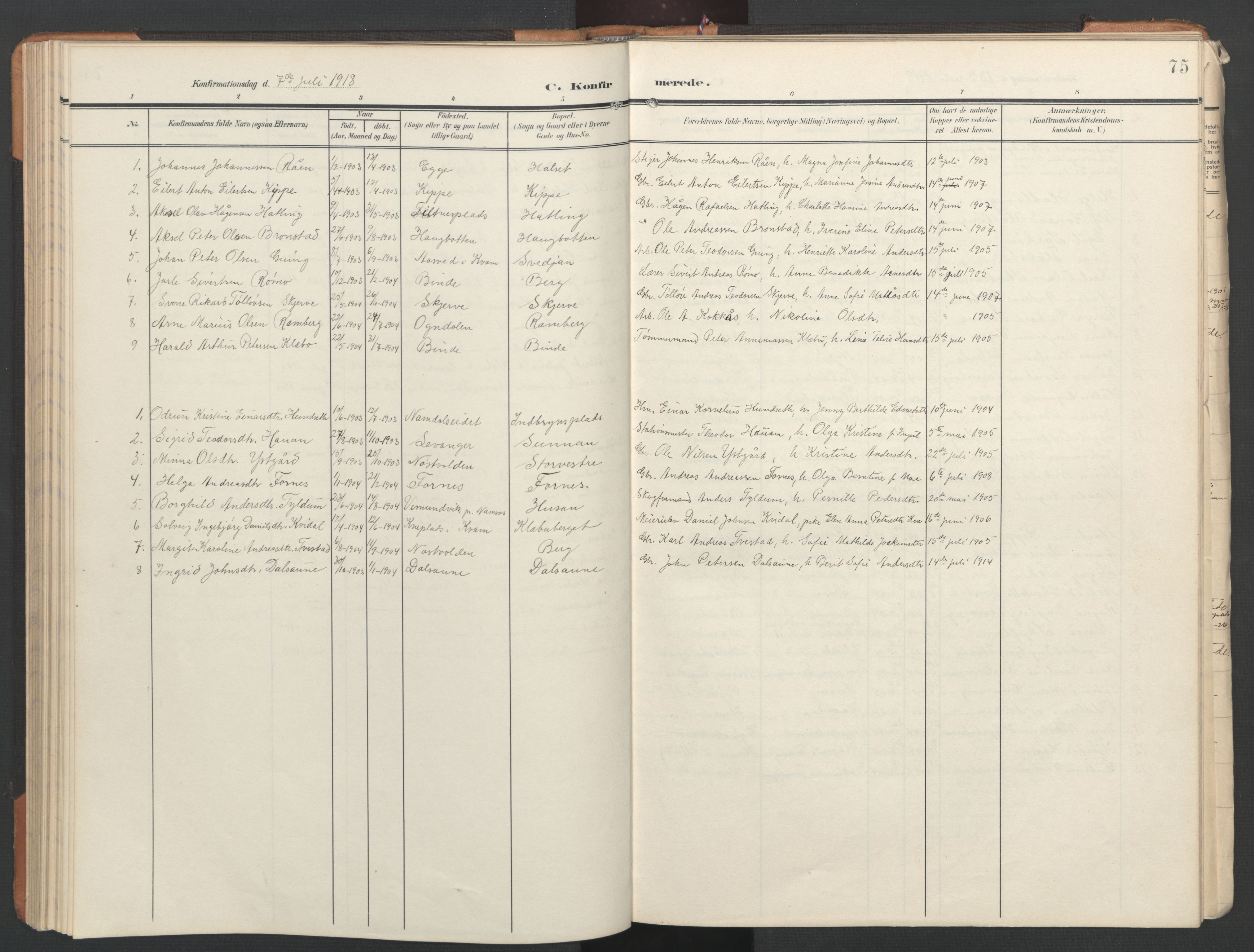 Ministerialprotokoller, klokkerbøker og fødselsregistre - Nord-Trøndelag, SAT/A-1458/746/L0455: Parish register (copy) no. 746C01, 1908-1933, p. 75
