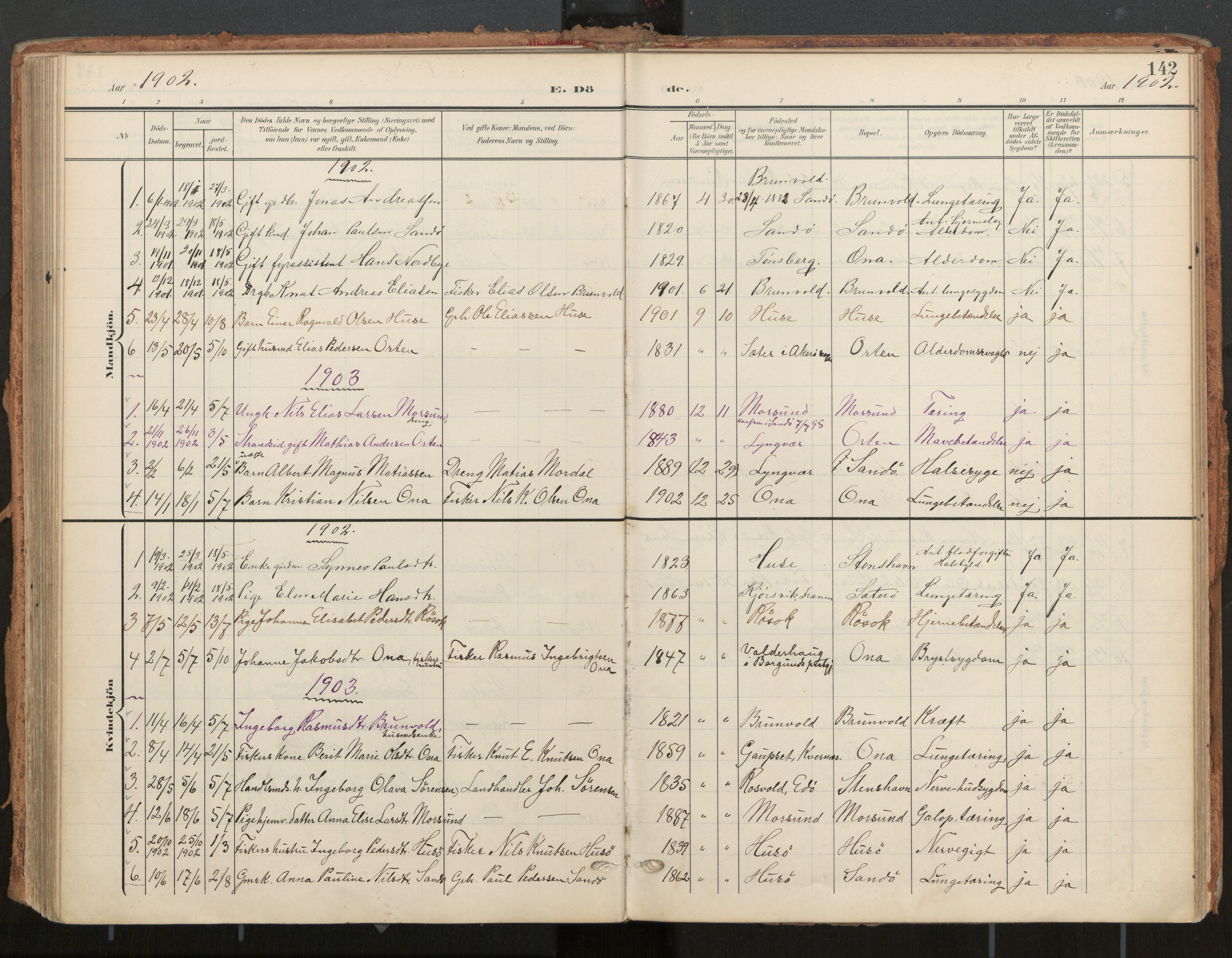 Ministerialprotokoller, klokkerbøker og fødselsregistre - Møre og Romsdal, SAT/A-1454/561/L0730: Parish register (official) no. 561A04, 1901-1929, p. 142