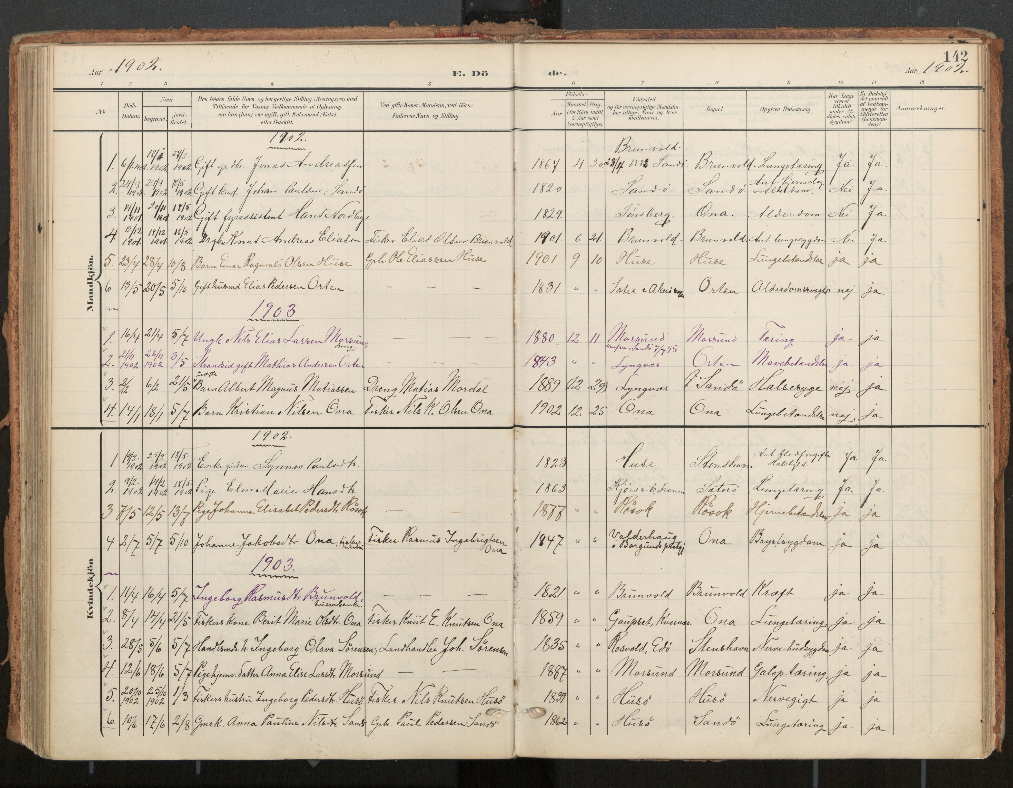 Ministerialprotokoller, klokkerbøker og fødselsregistre - Møre og Romsdal, AV/SAT-A-1454/561/L0730: Parish register (official) no. 561A04, 1901-1929, p. 142