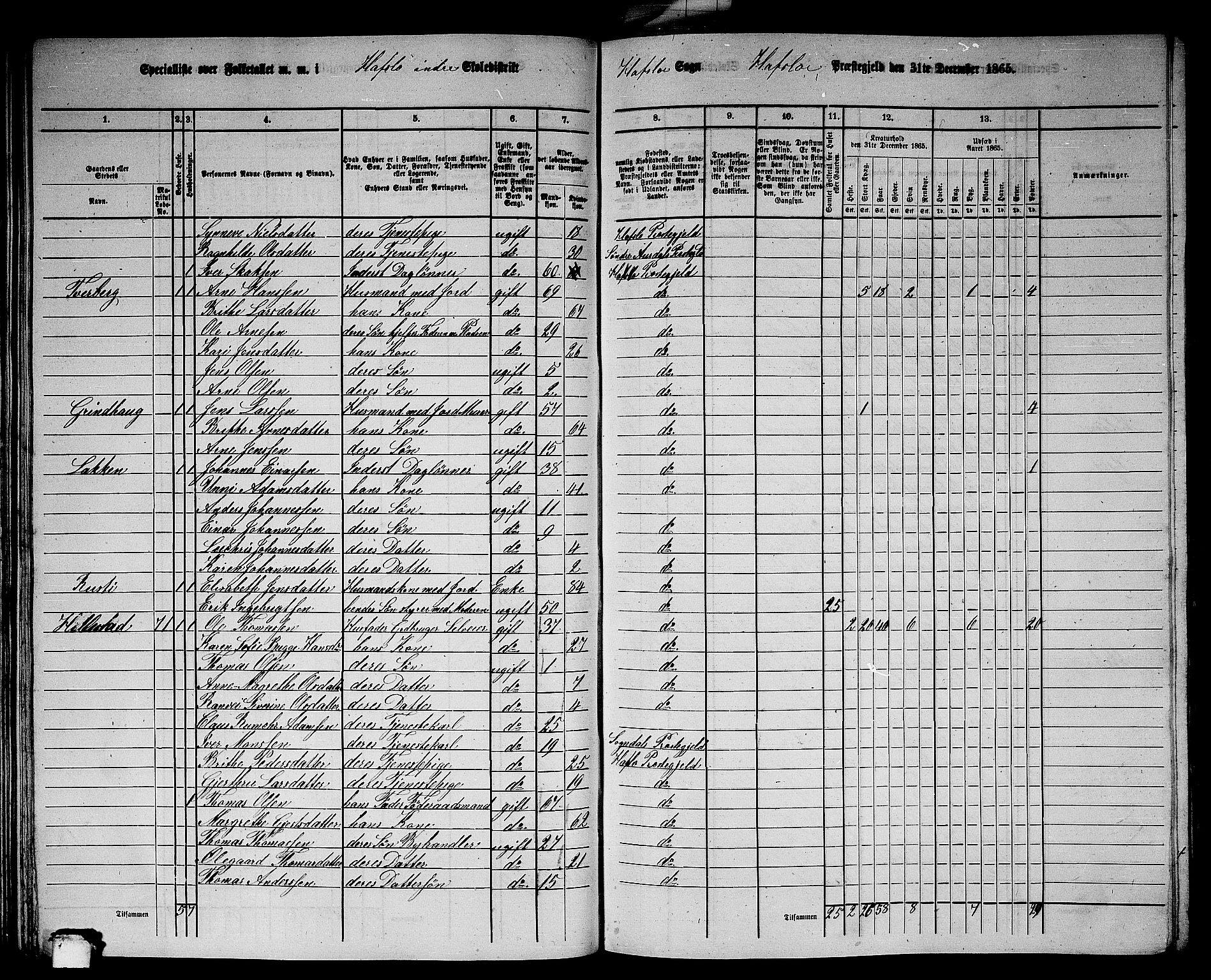 RA, 1865 census for Hafslo, 1865, p. 59