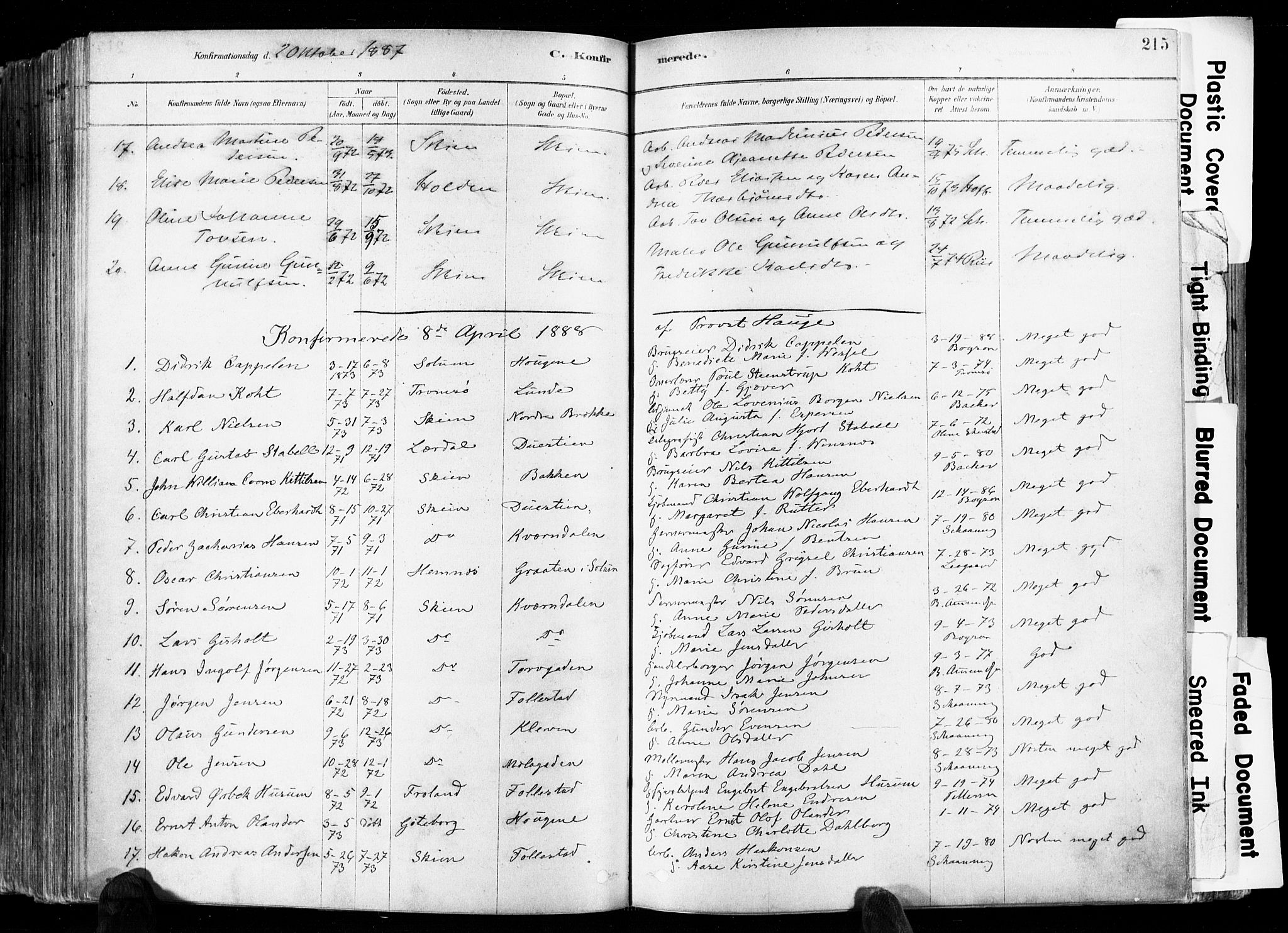 Skien kirkebøker, AV/SAKO-A-302/F/Fa/L0009: Parish register (official) no. 9, 1878-1890, p. 215