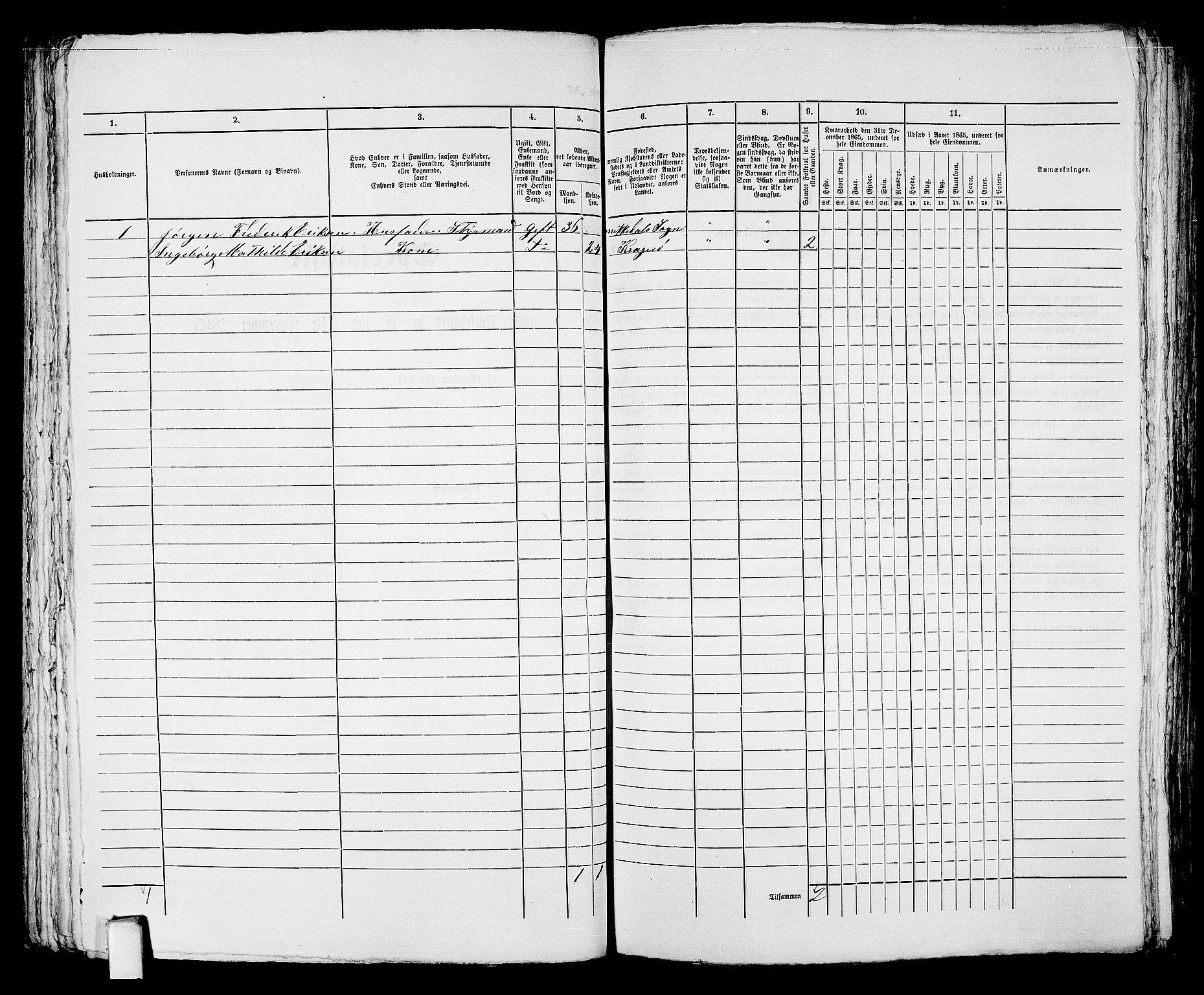 RA, 1865 census for Kragerø/Kragerø, 1865, p. 248